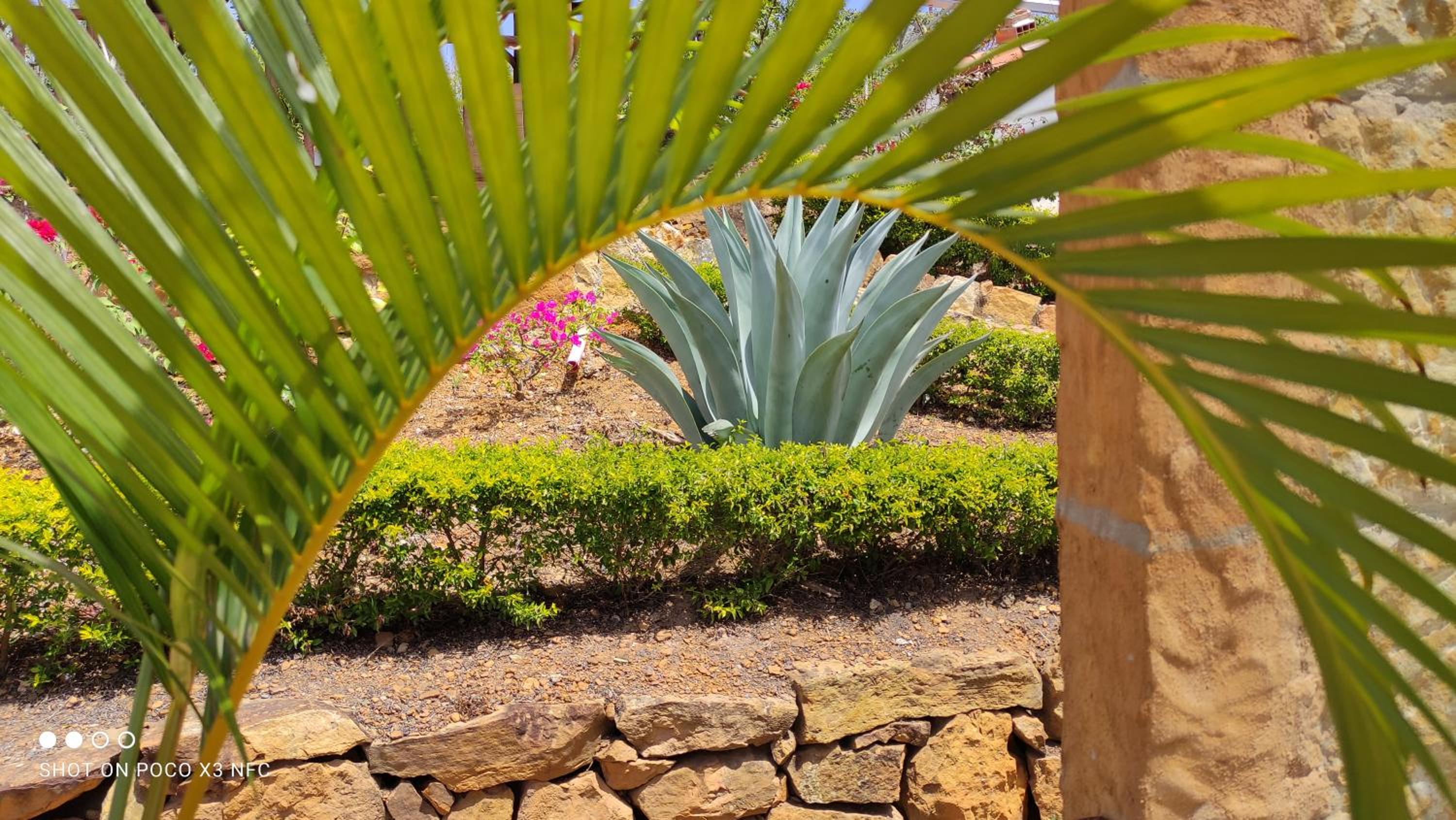 Casa De Campo Villa Caney