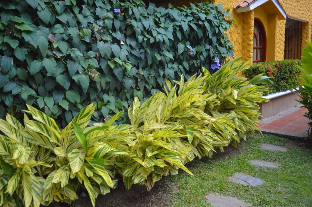 Eco Hostal Kuima