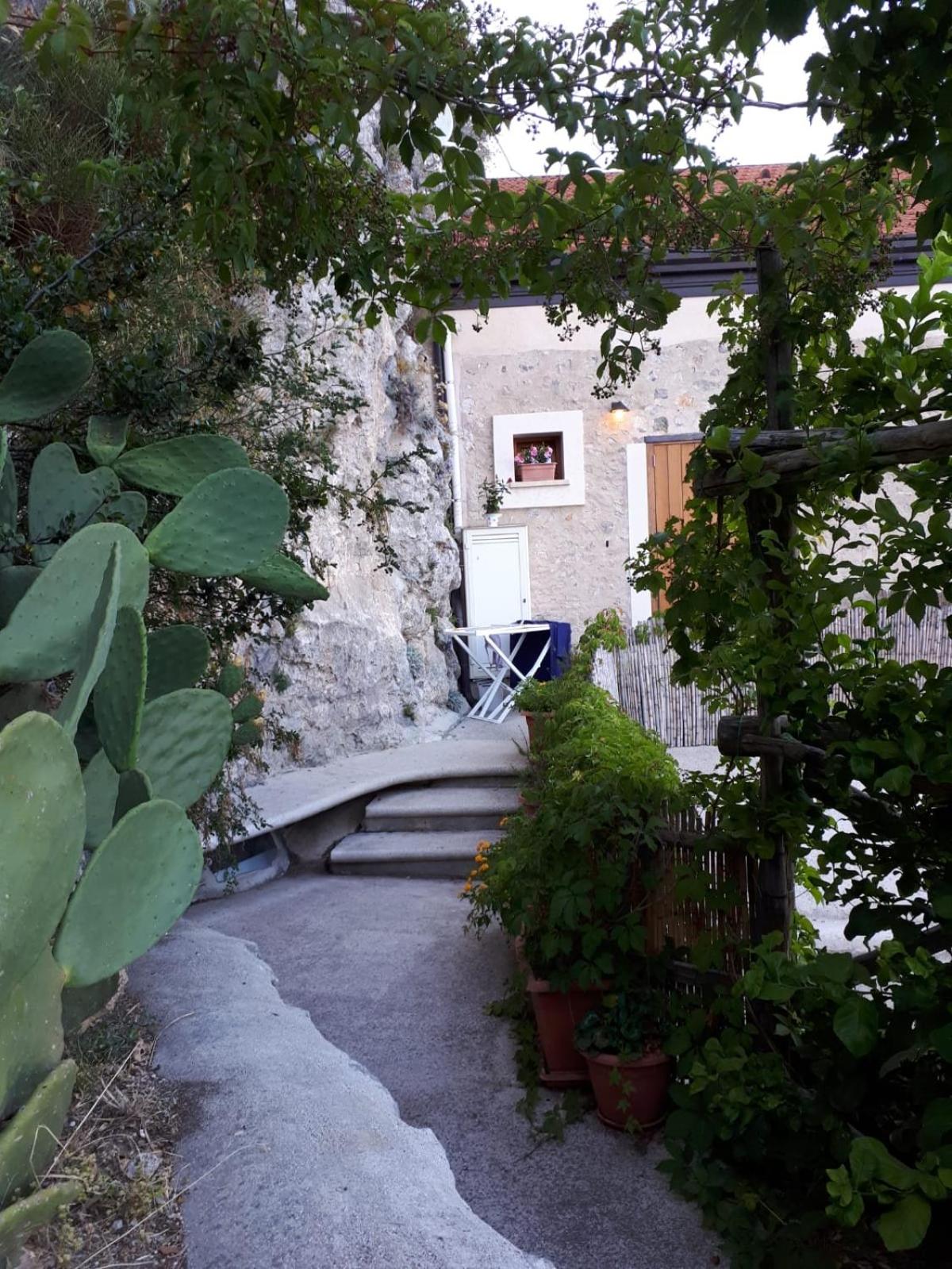 Photo 36