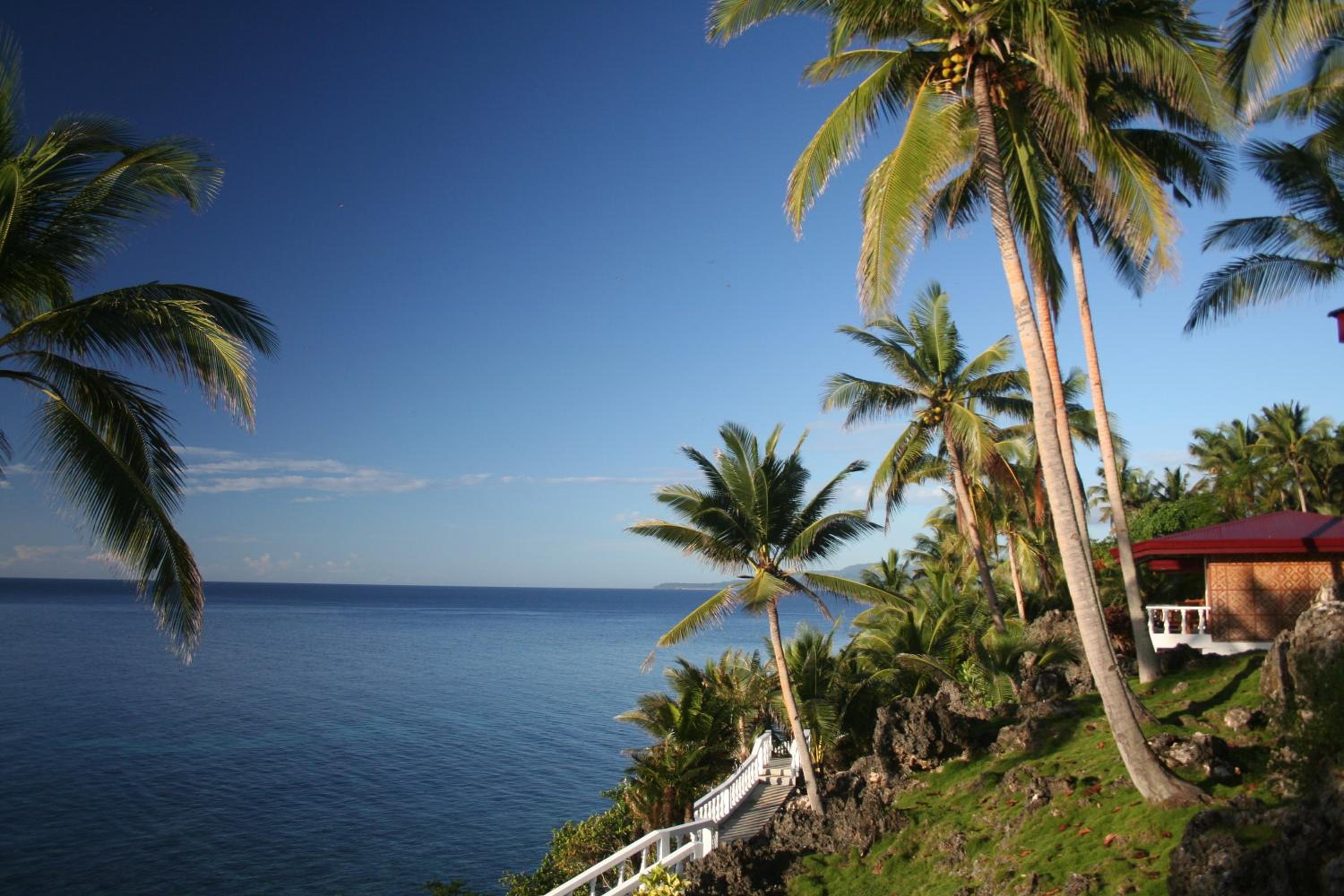 Blue Star Dive and Resort