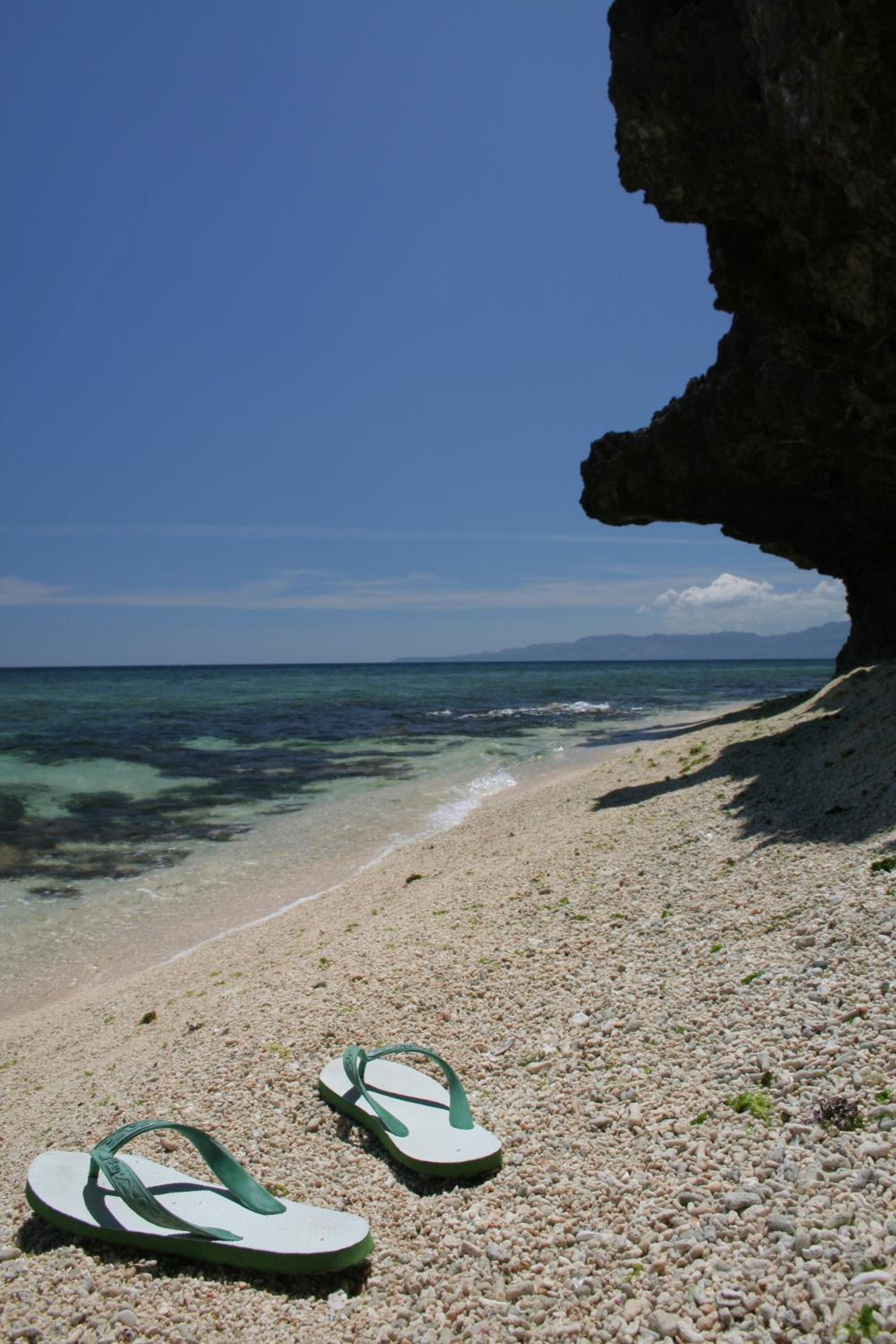 Blue Star Dive and Resort