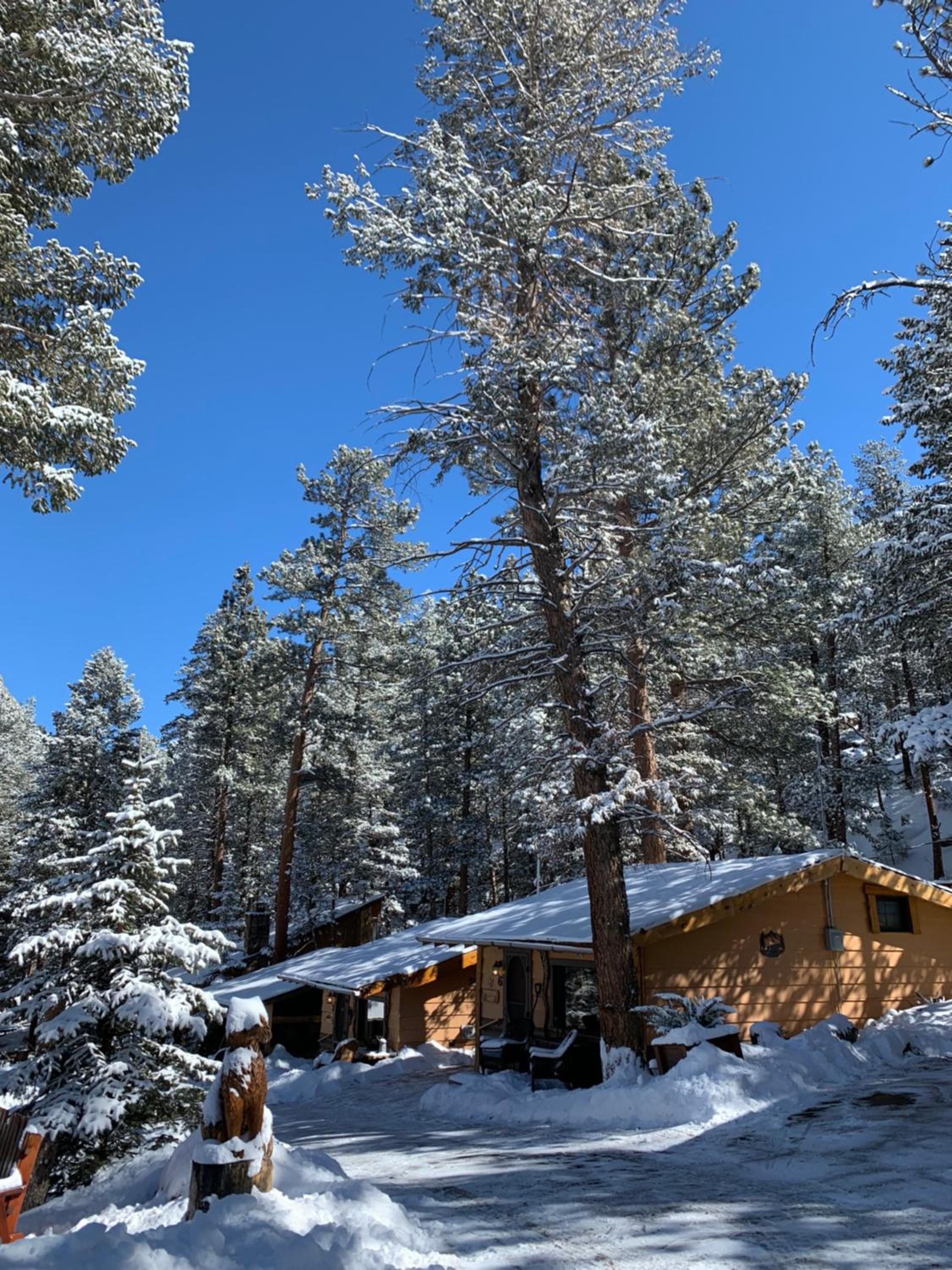 Pine Haven Resort
