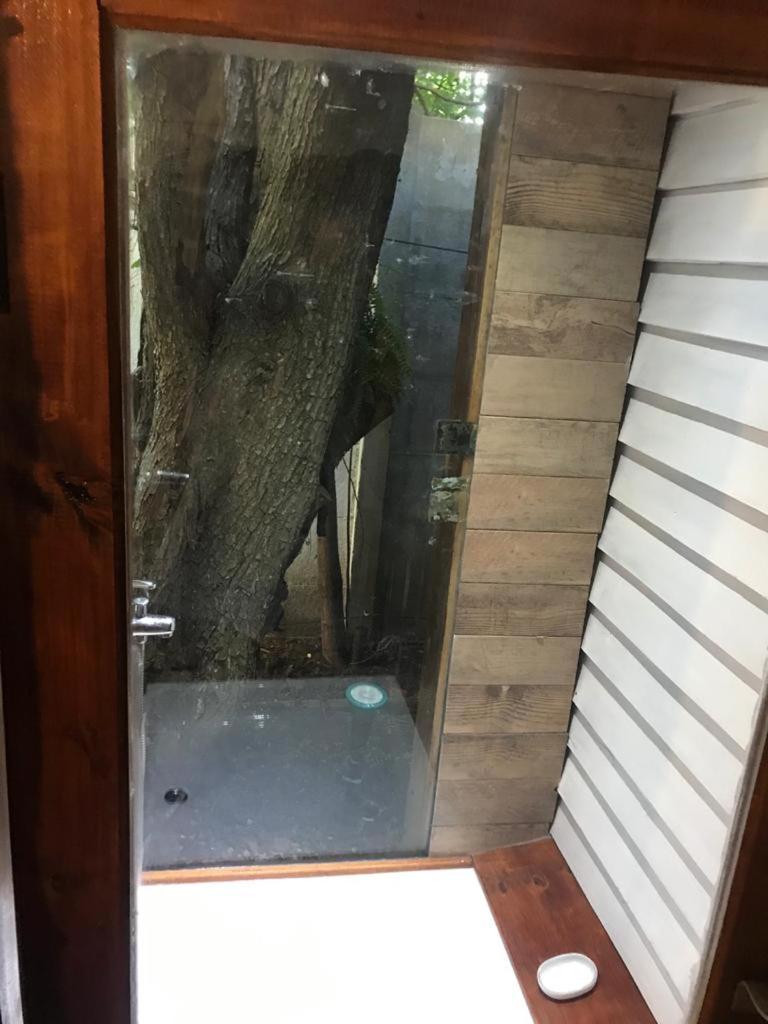 La Casa Del Arbol con pileta privada