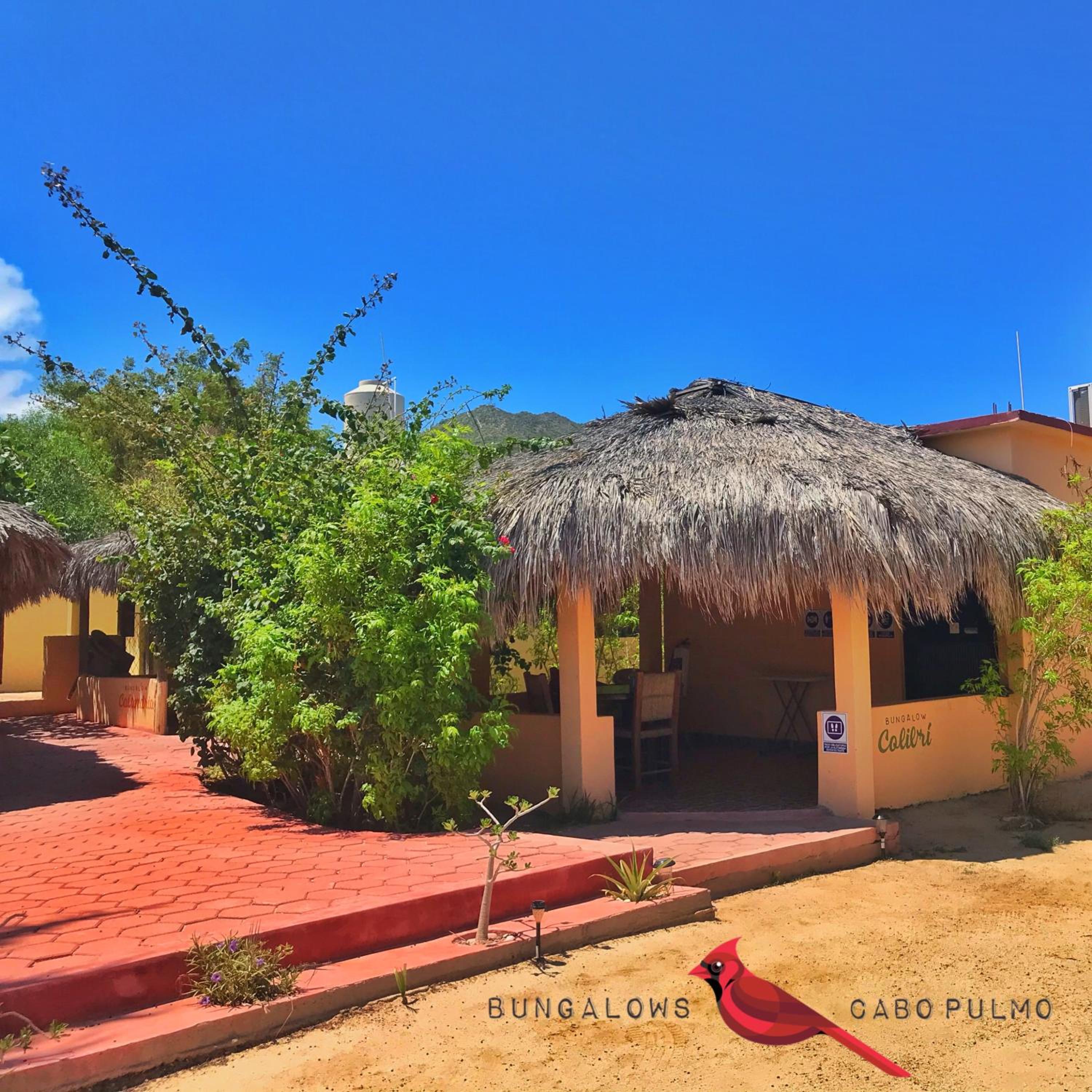 Bungalows Cabo Pulmo