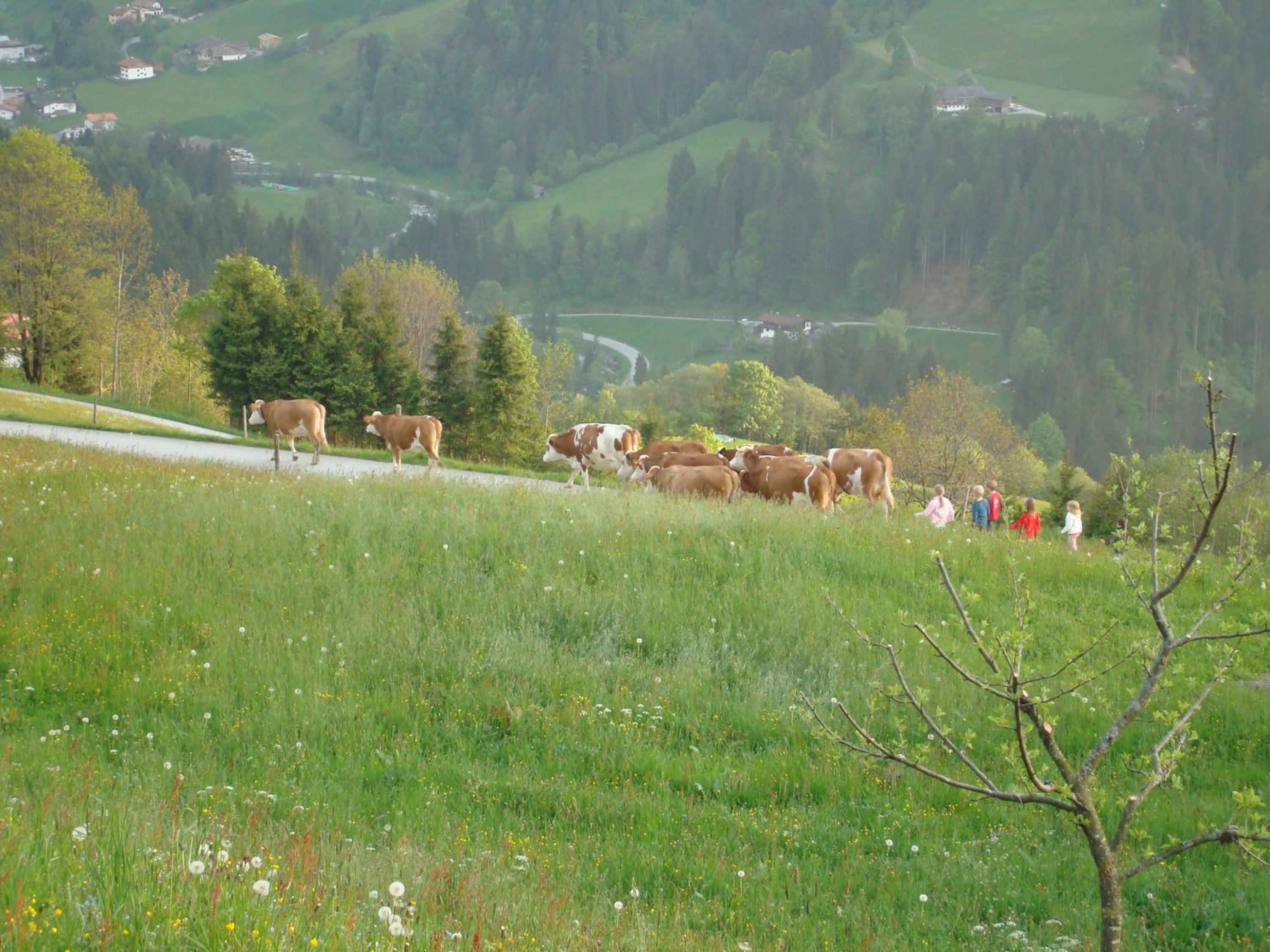 Siedlerhof