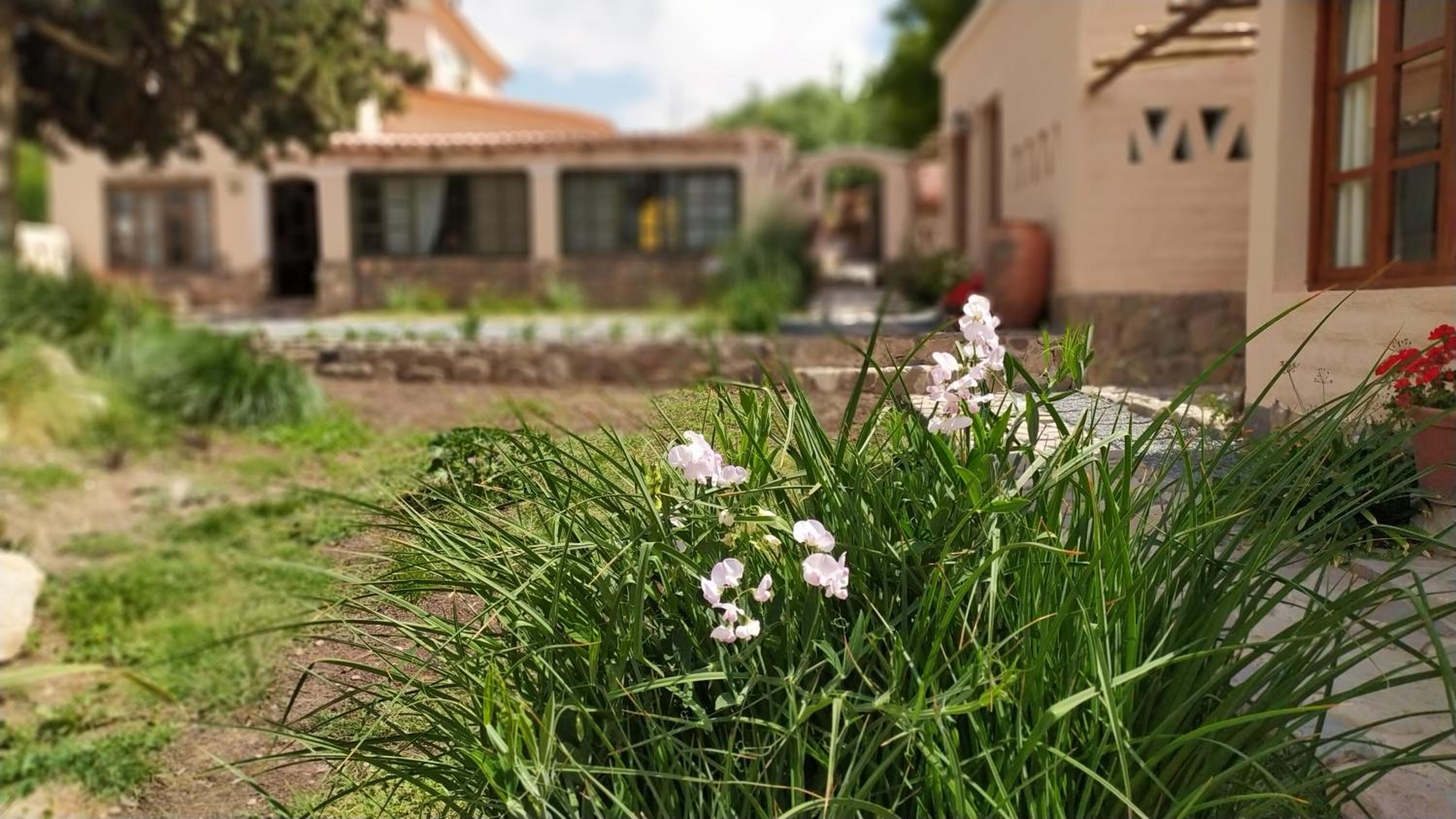 Los Arcabuceros Casa Hotel Boutique