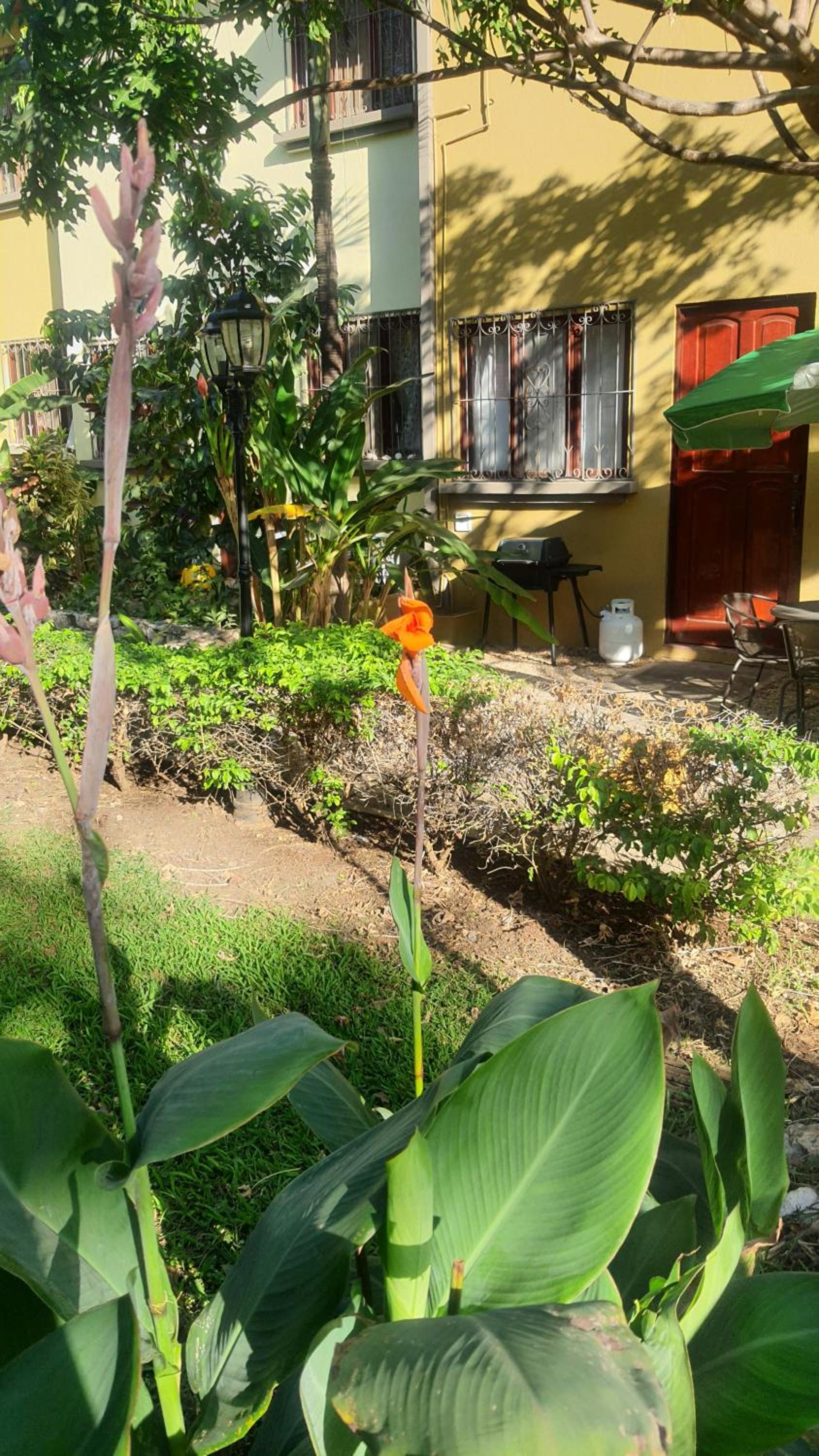 La Casita de Naomi