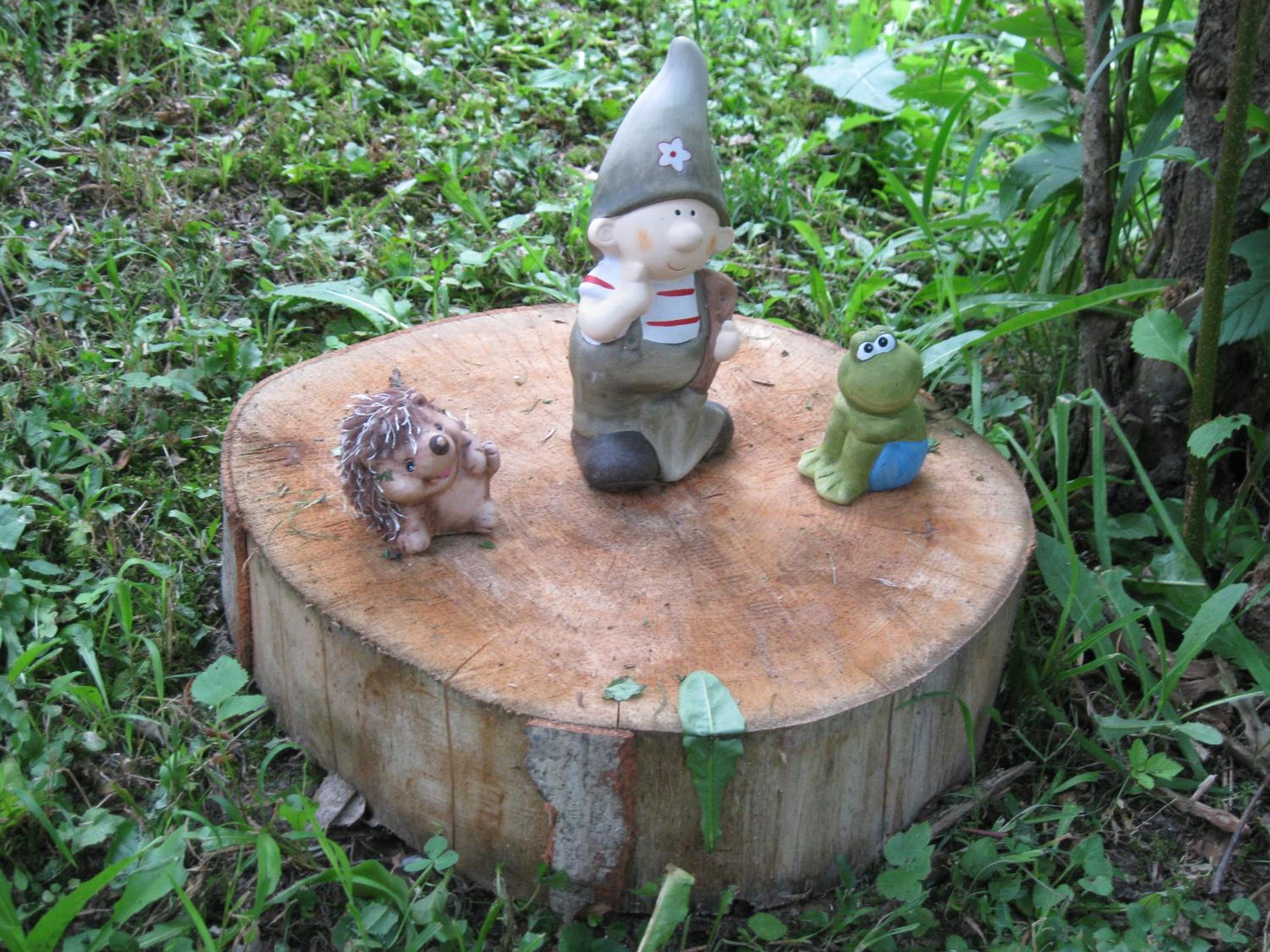 Photo 16