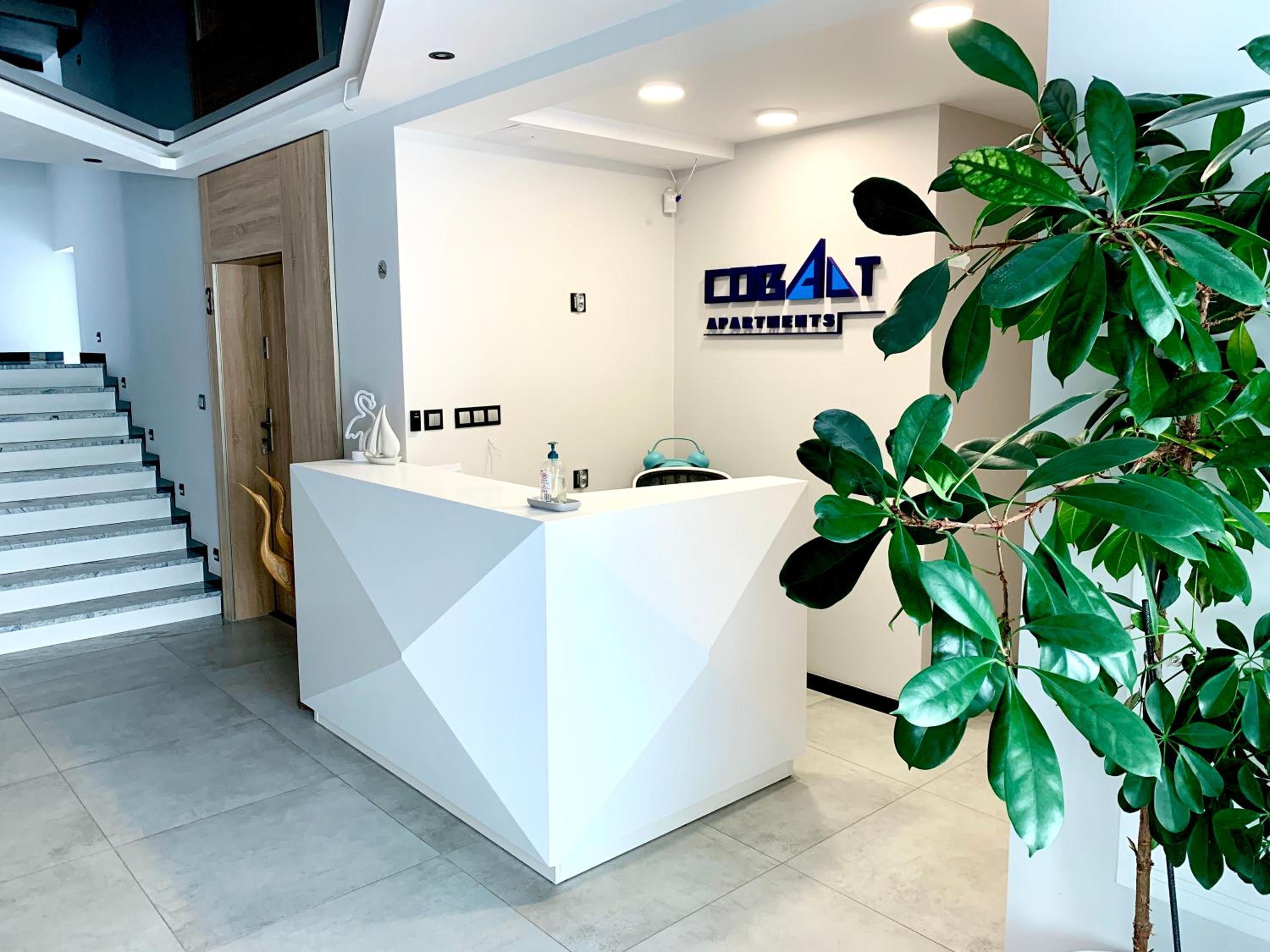 Cobalt Apartments view 2