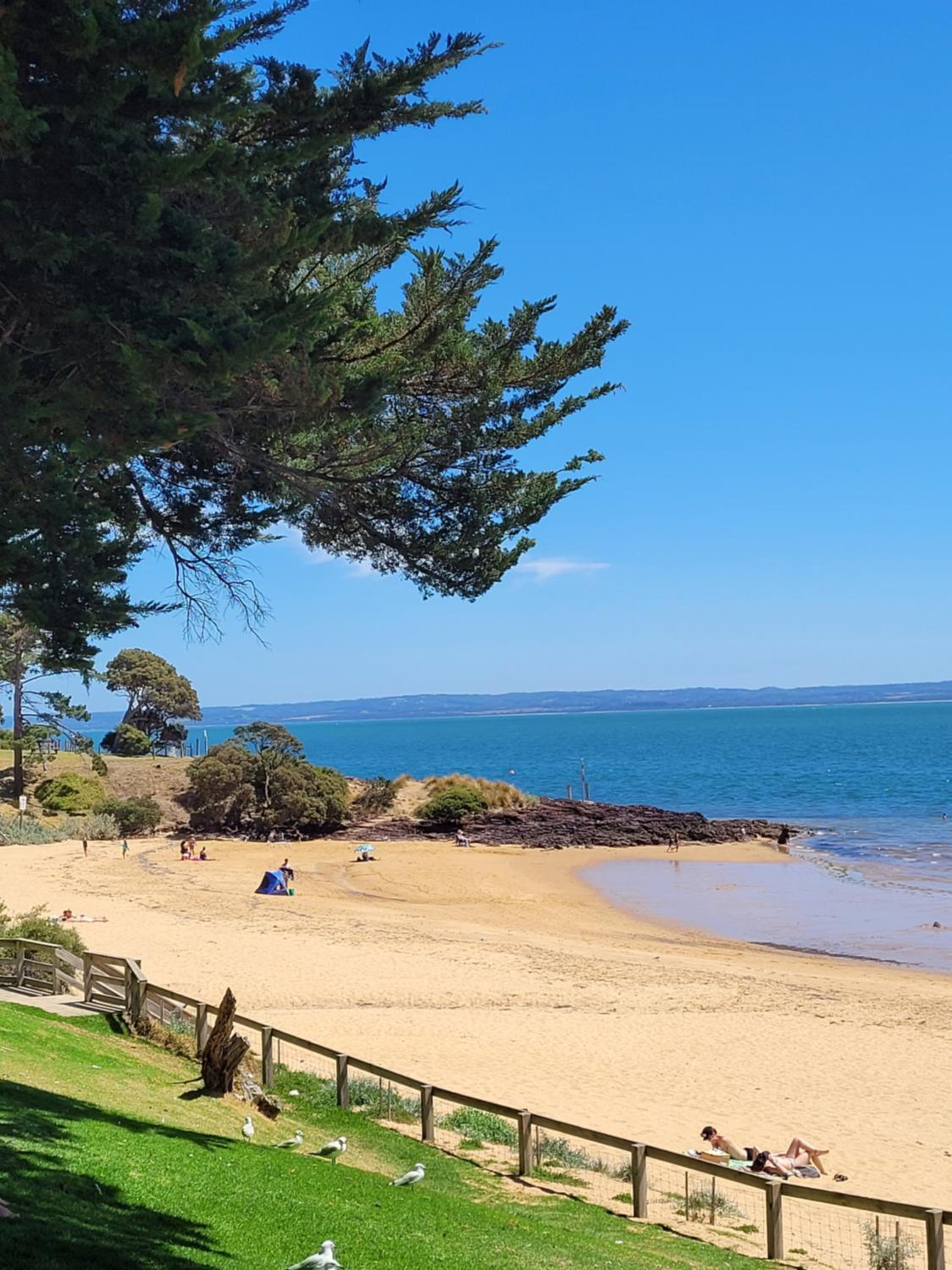 Cowes Vacations - Redwood Delight - Property Image 8