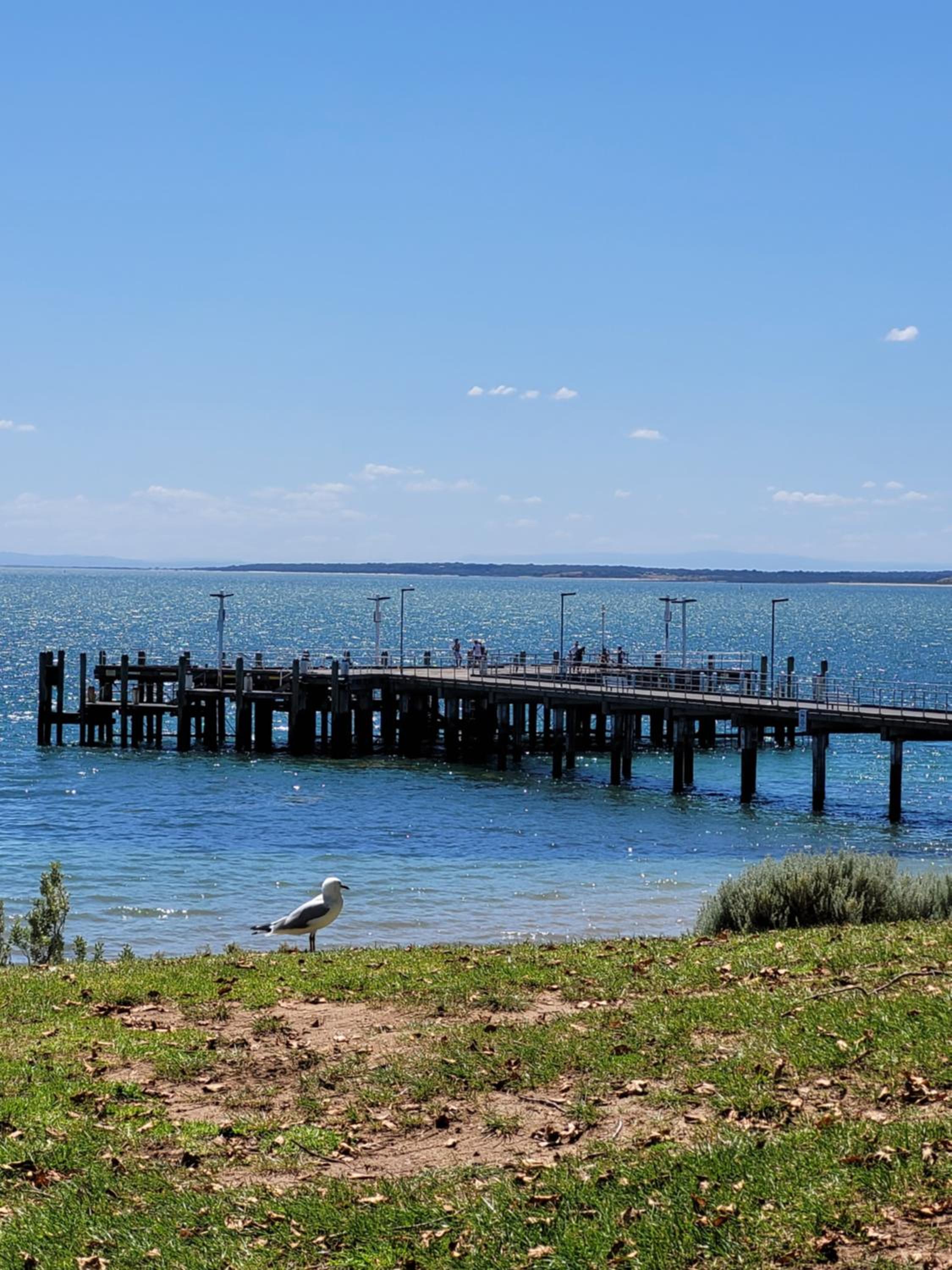Cowes Vacations - Redwood Delight - Property Image 5
