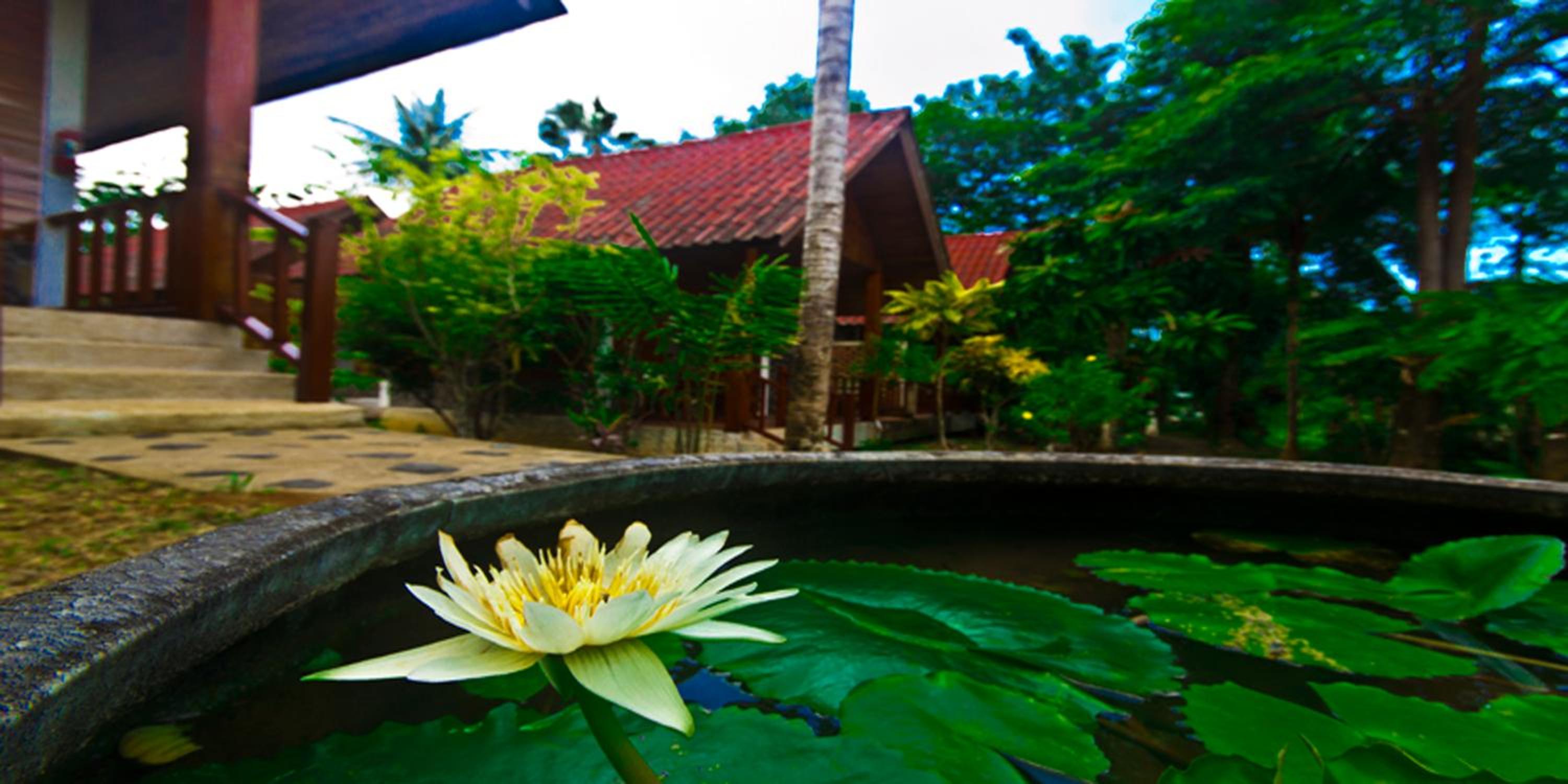 Krathom Khaolak Resort