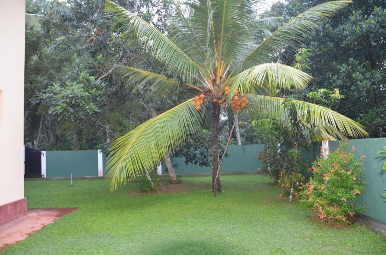 Villa Vinses In Hikkaduwa view 2