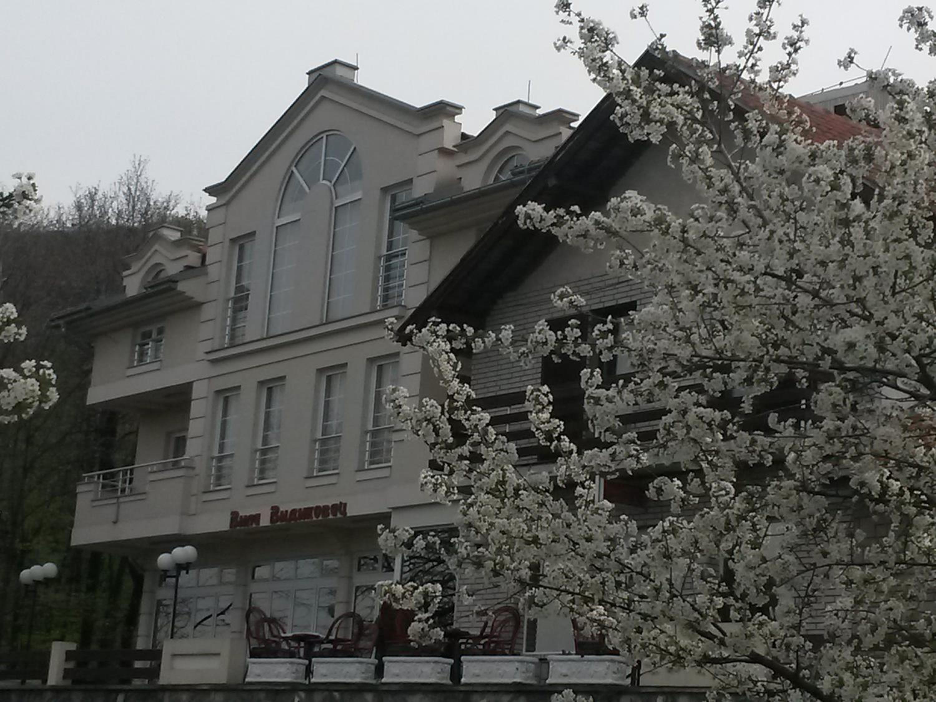 Photo 51
