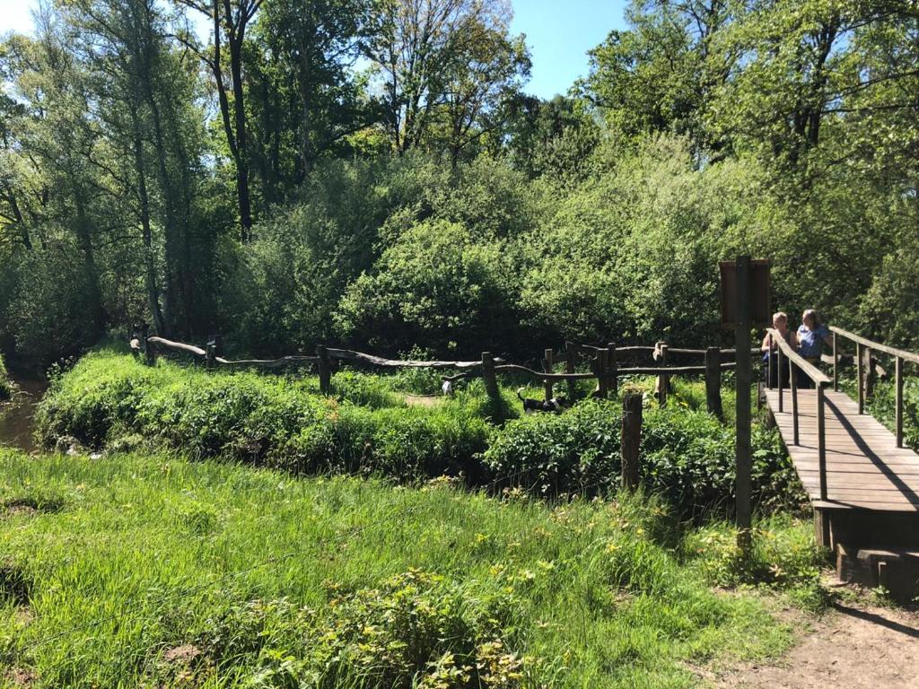 B&B 't Mjeels Pierke