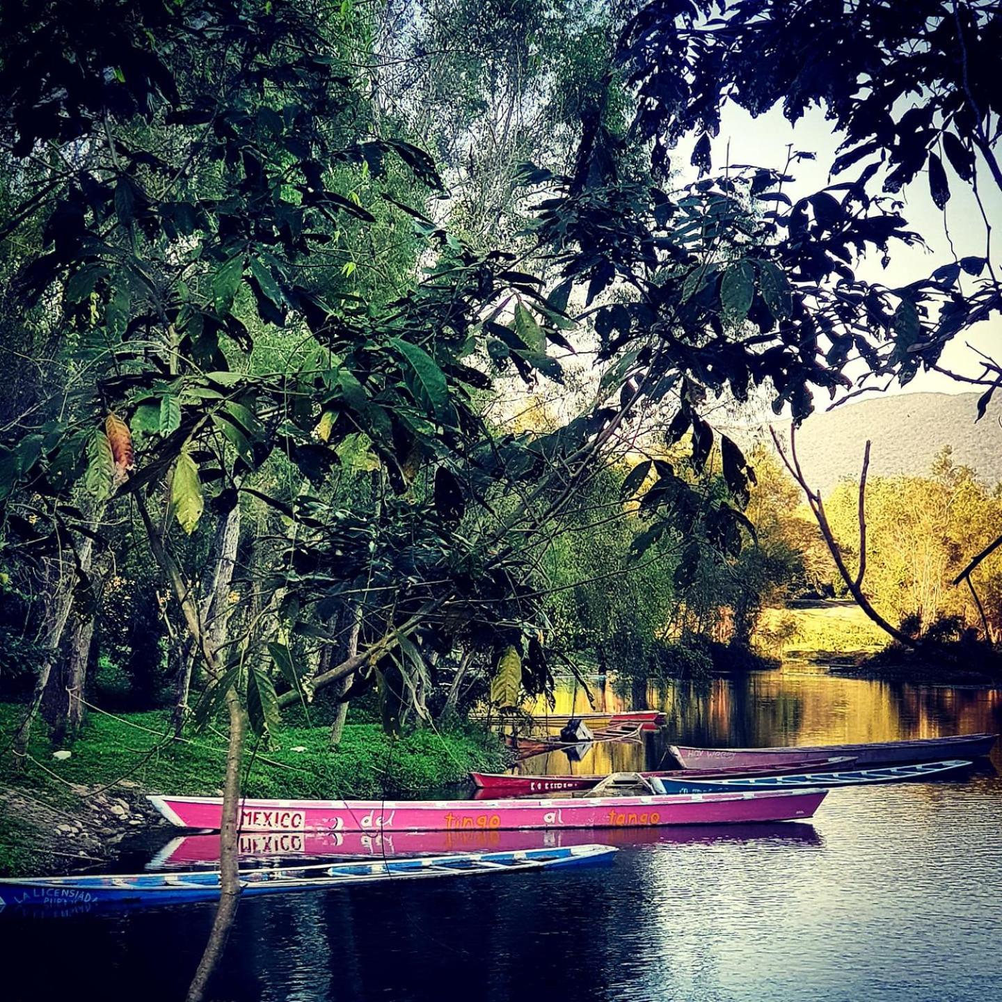 Cabañas Mannan