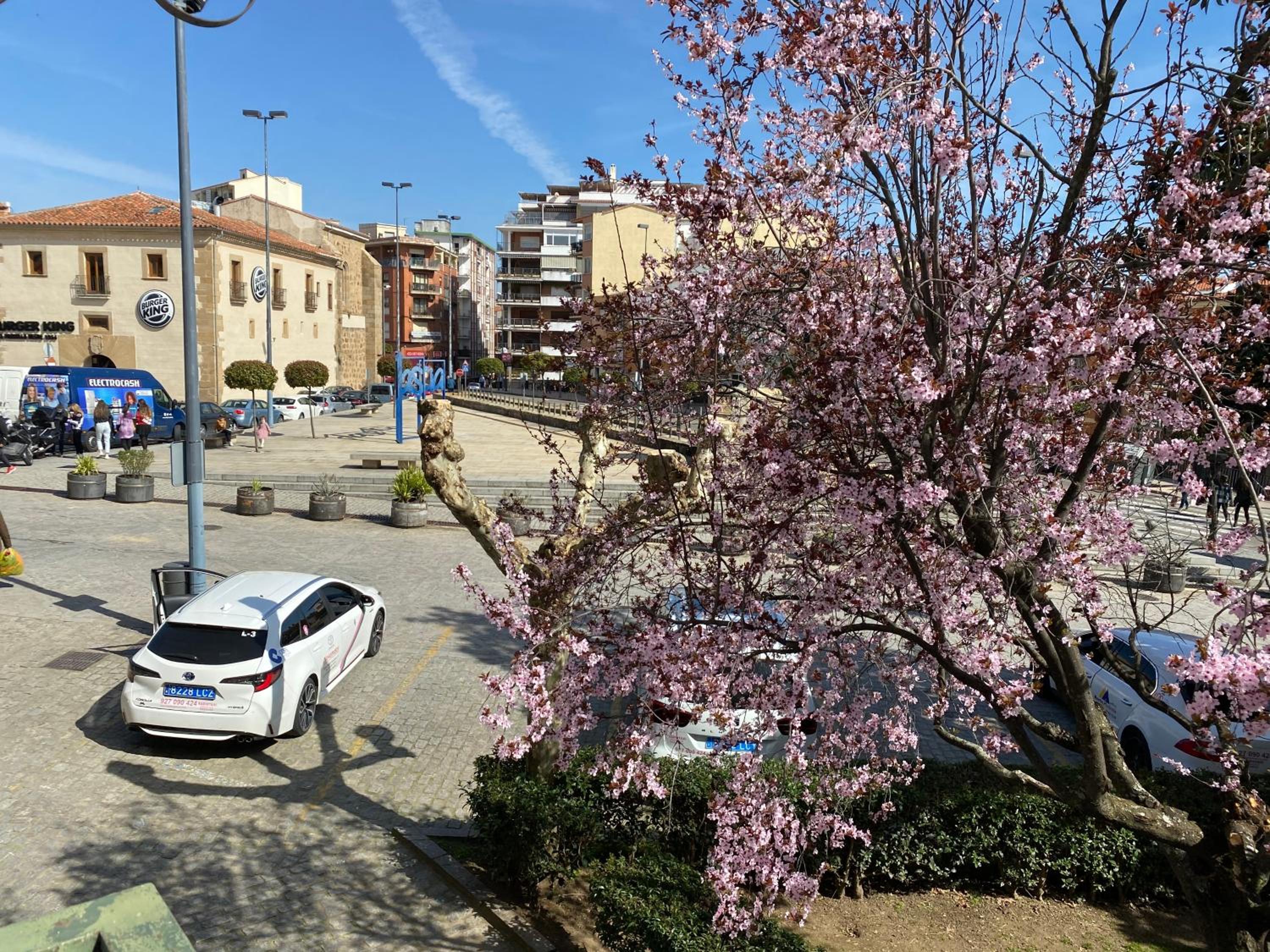 parking