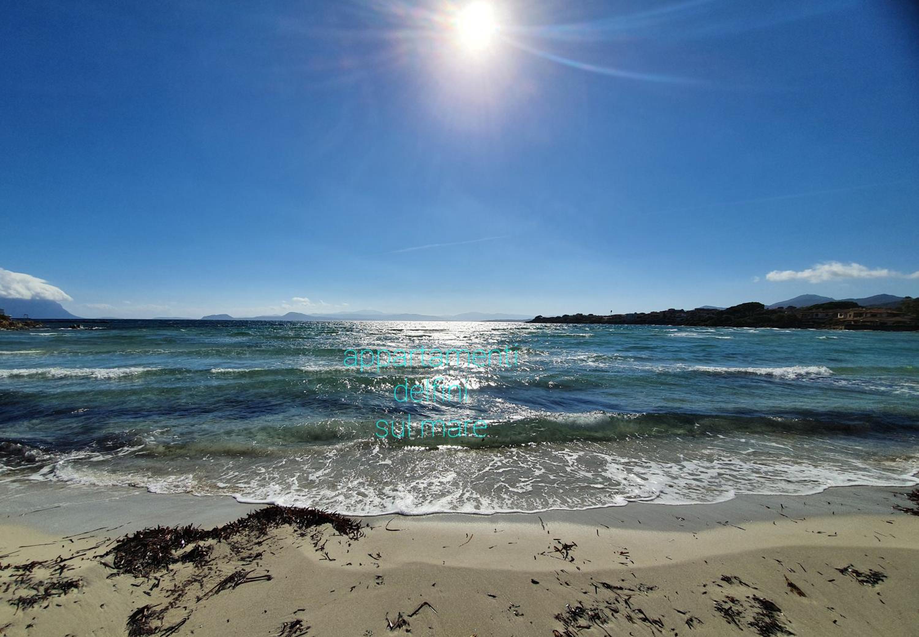 Appartamento delfini sul mare