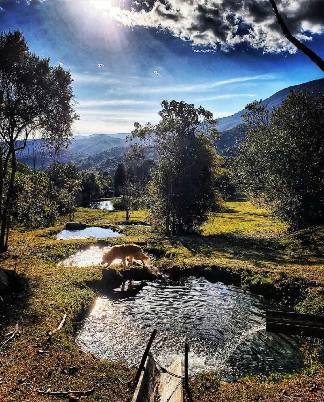 Delirius Hospedagem view 3