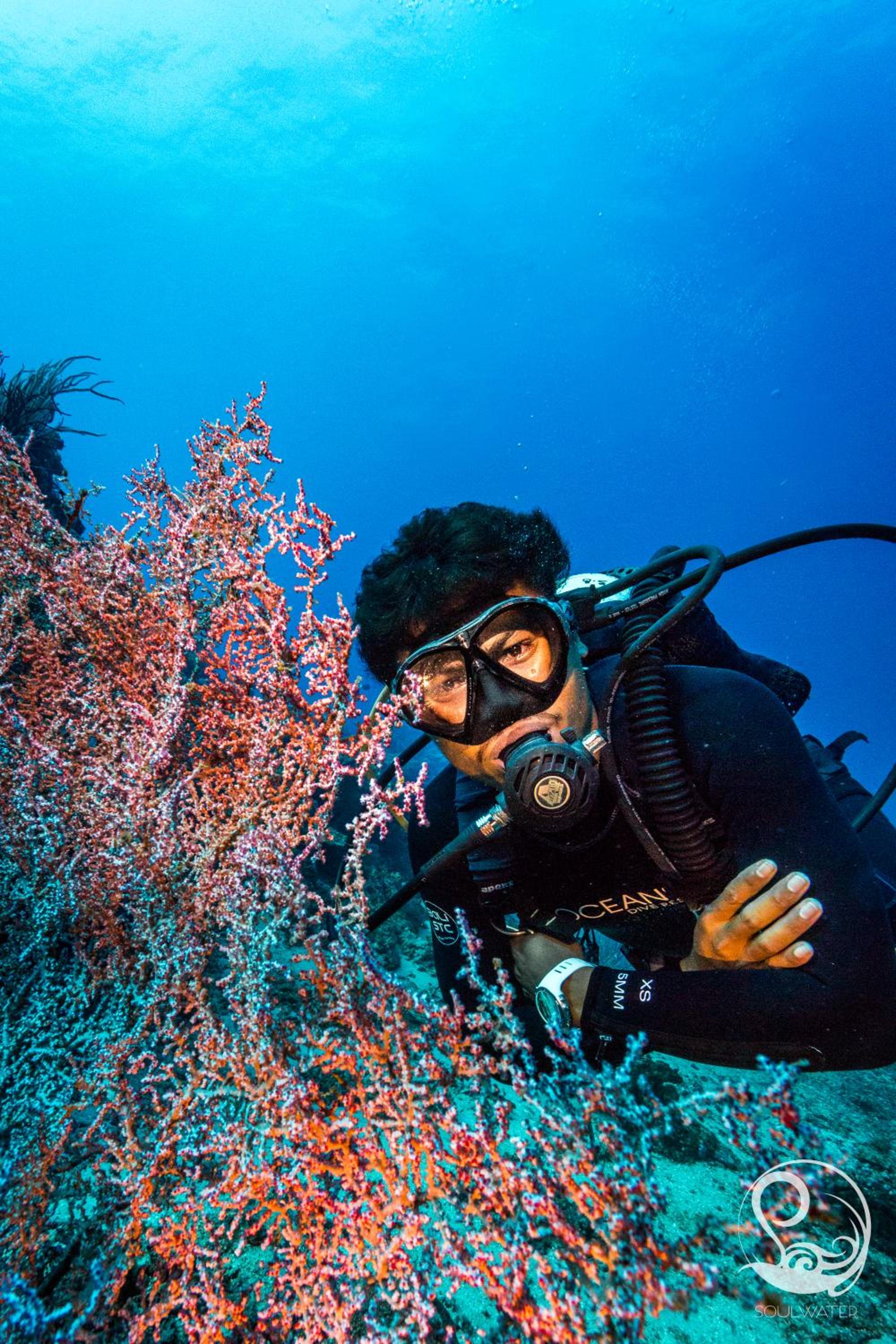 Oceans 5 Dive Resort