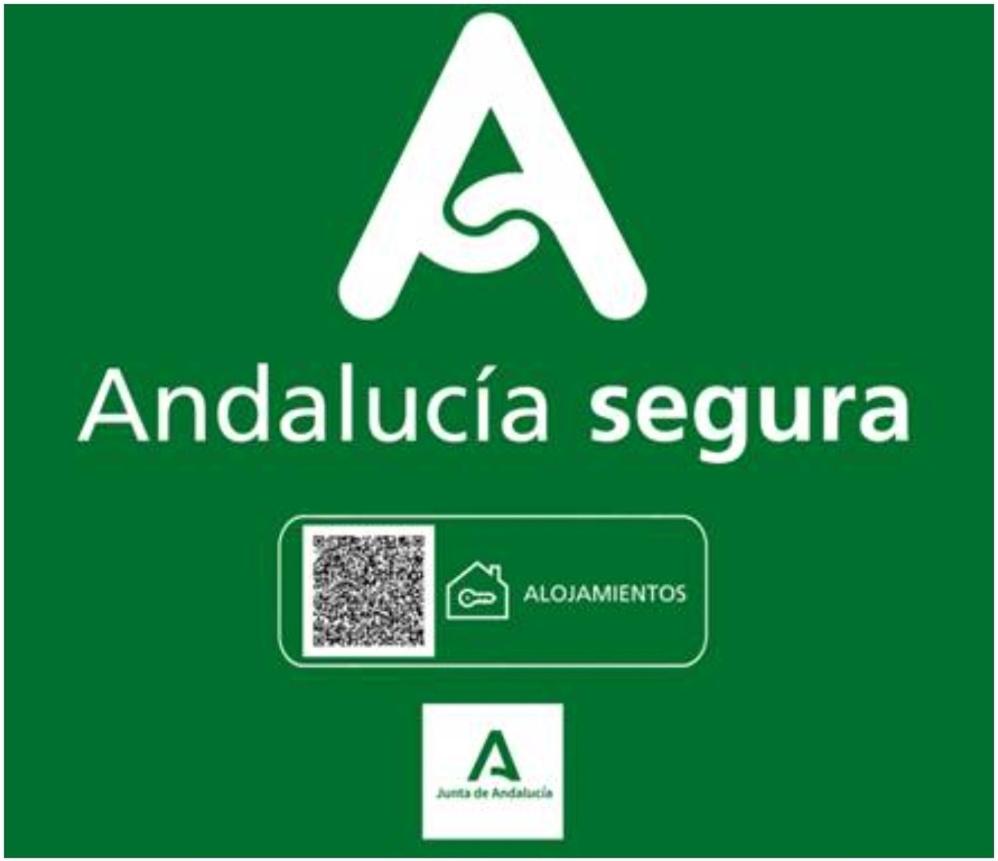 TODOSIERRANEVADA ZONA BAJA - APARTAMENTOS DE 4 DORMITORIOS - Junto a los Telecabinas view 4