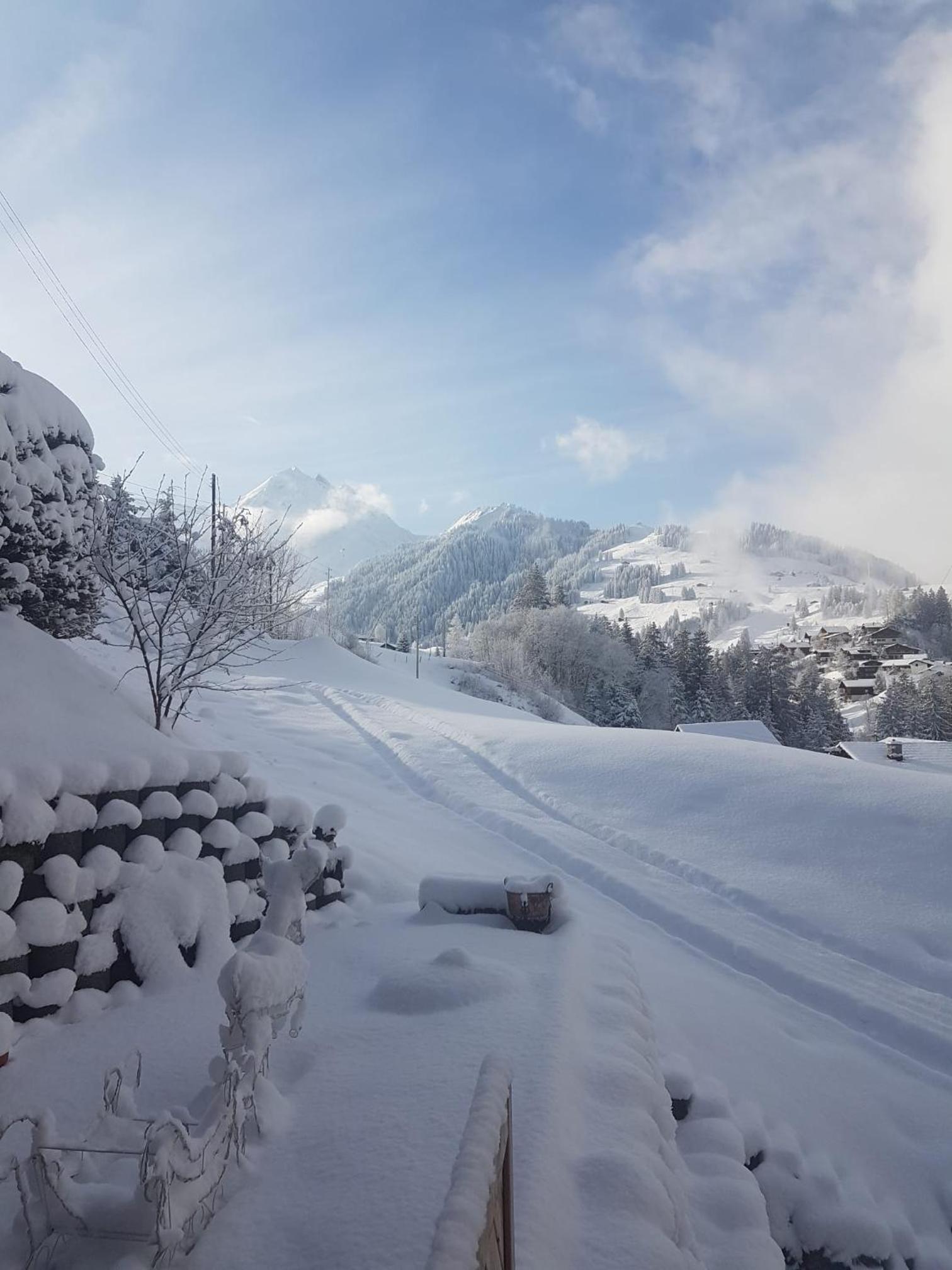 Chalet Grüneggli