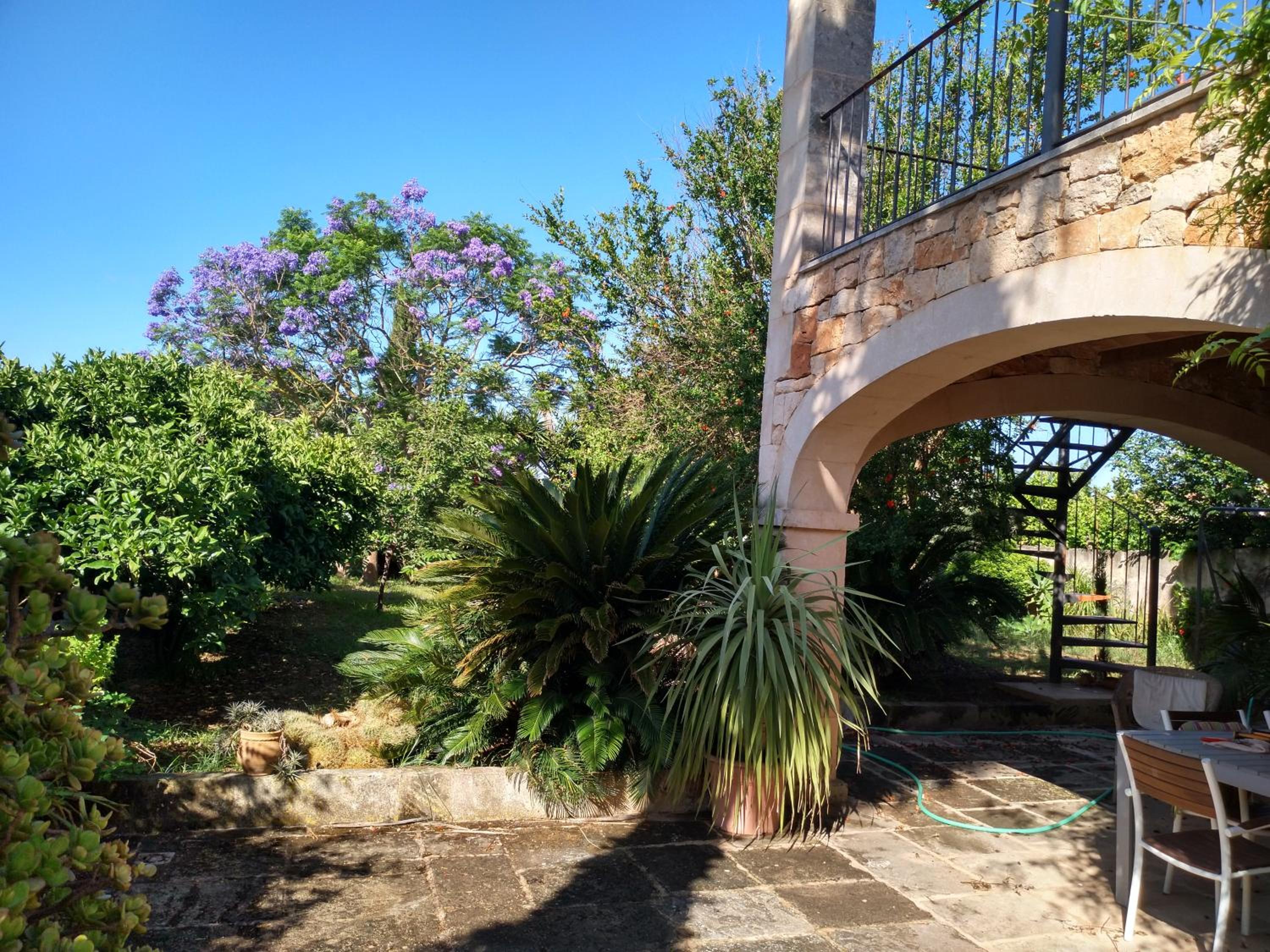 Hotel Lujosa casa mallorquina restaurada - Image 1
