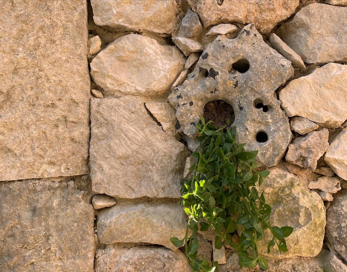 Masseria Usamborgia