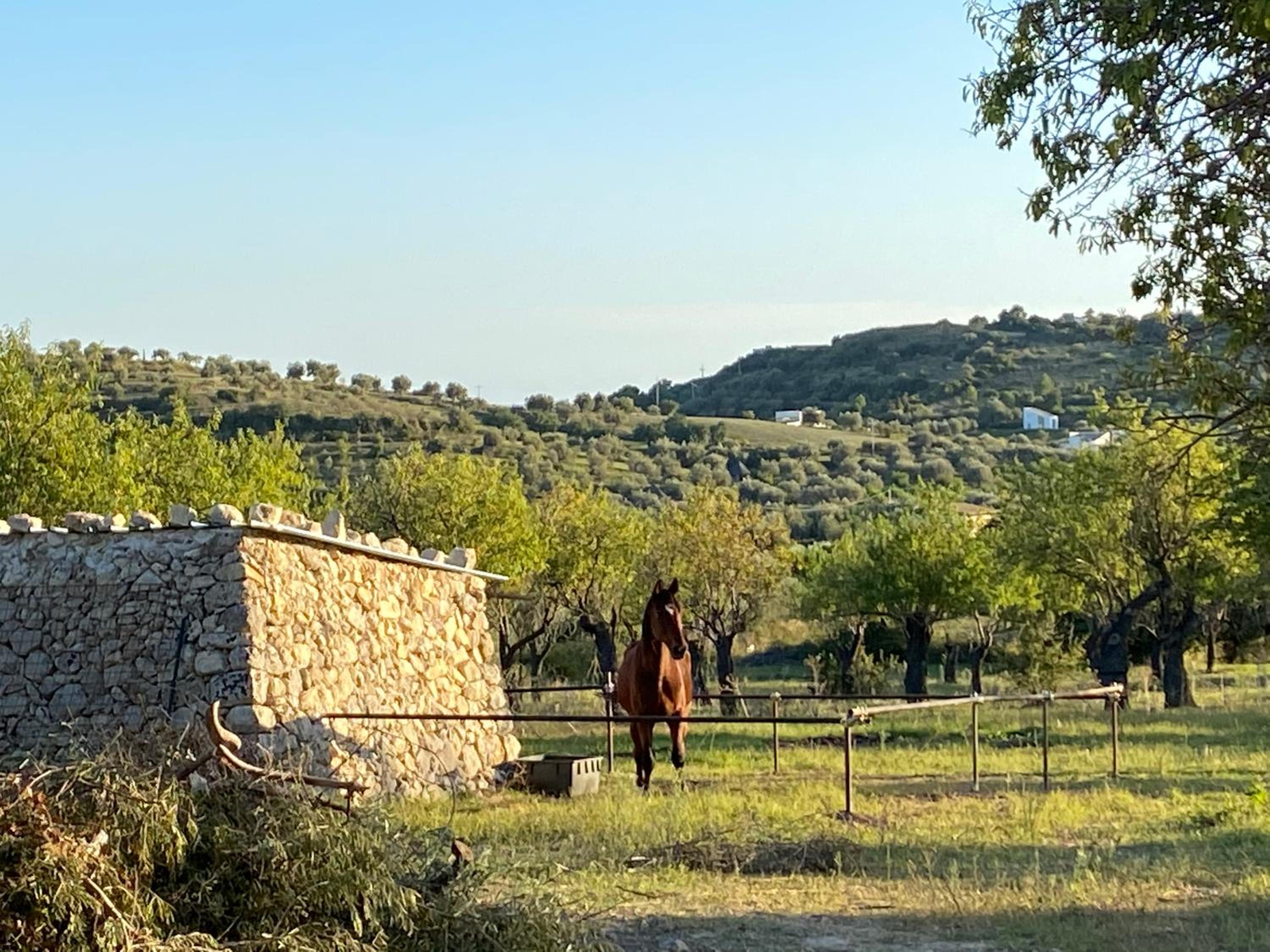 Masseria Usamborgia