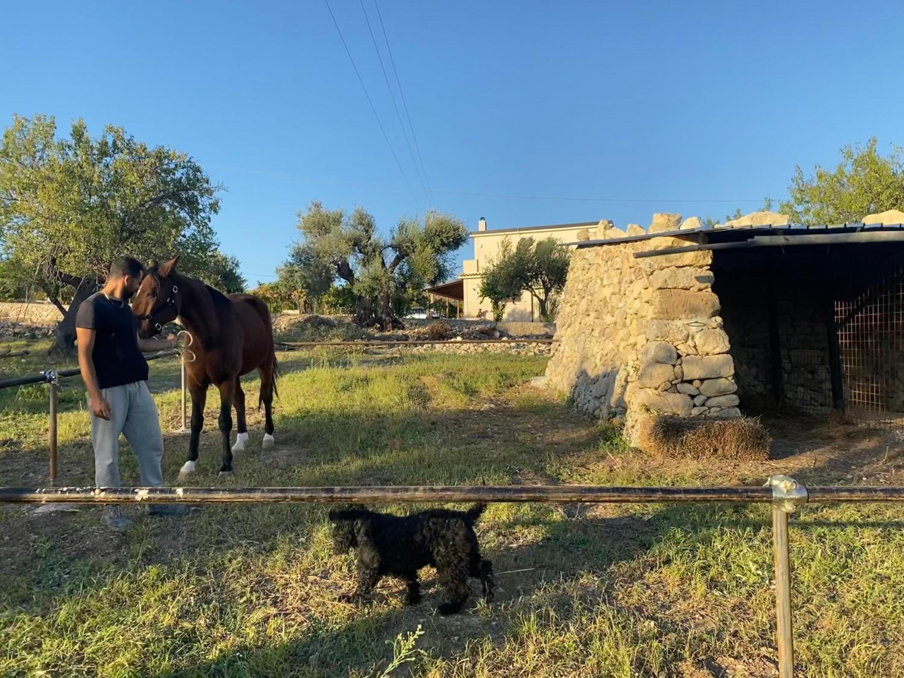 Masseria Usamborgia
