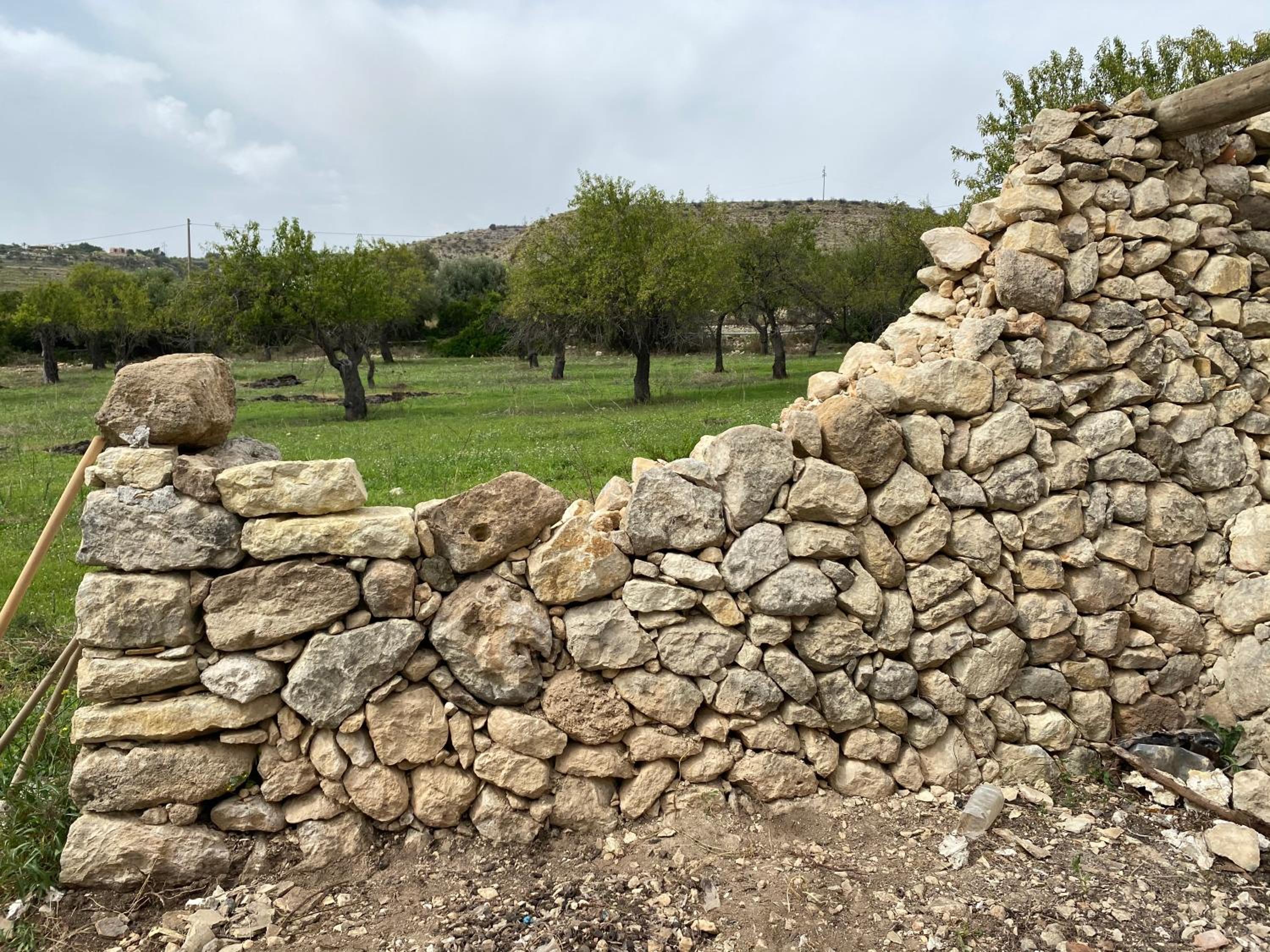 Masseria Usamborgia