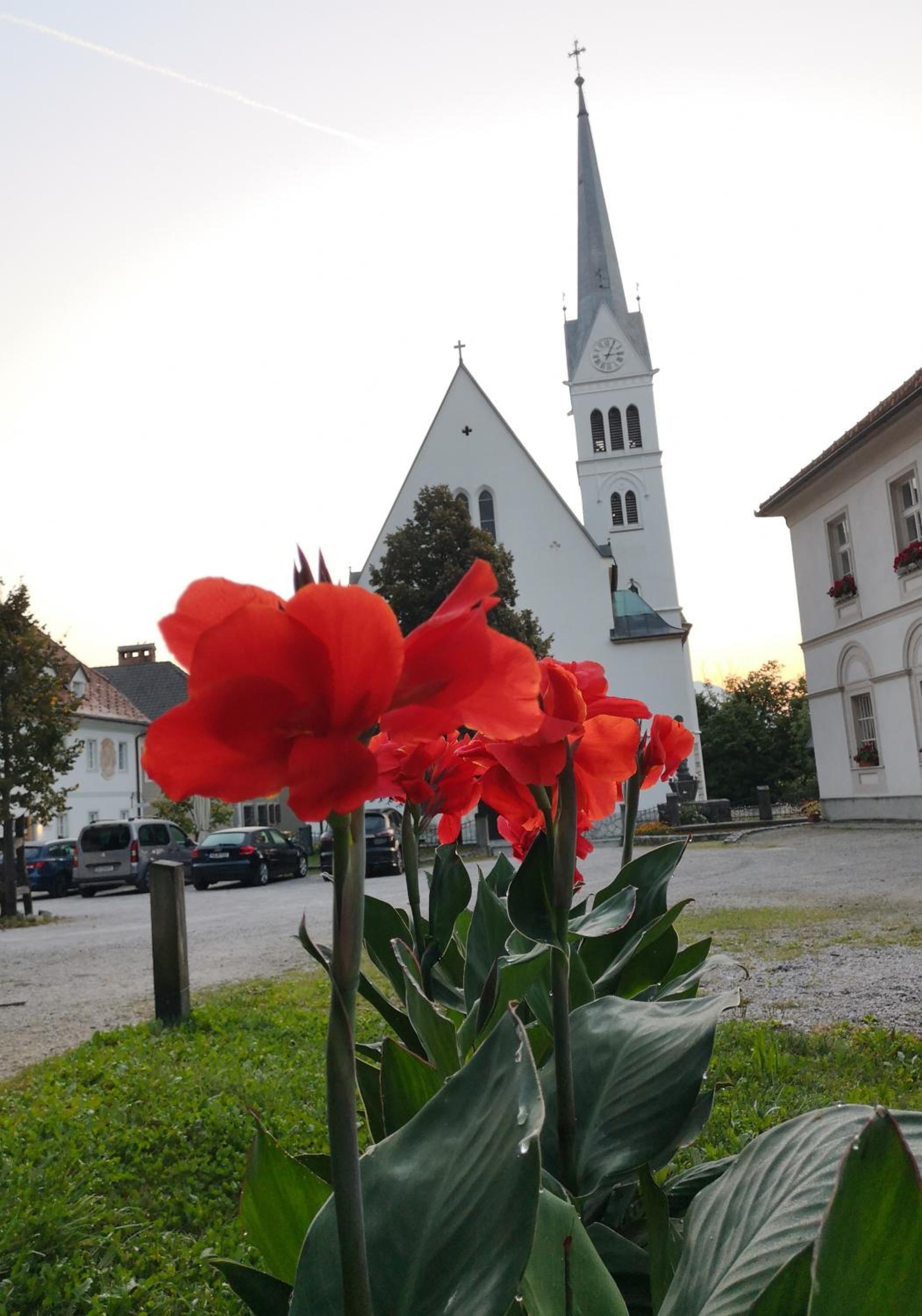 Photo 32