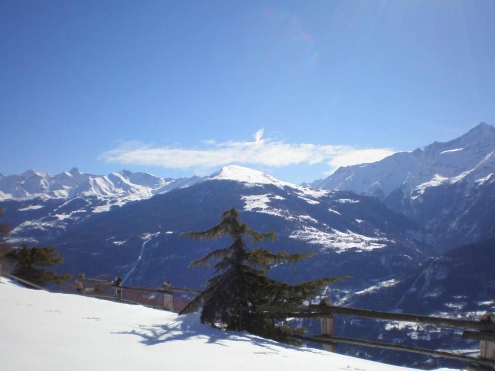 Photo 10