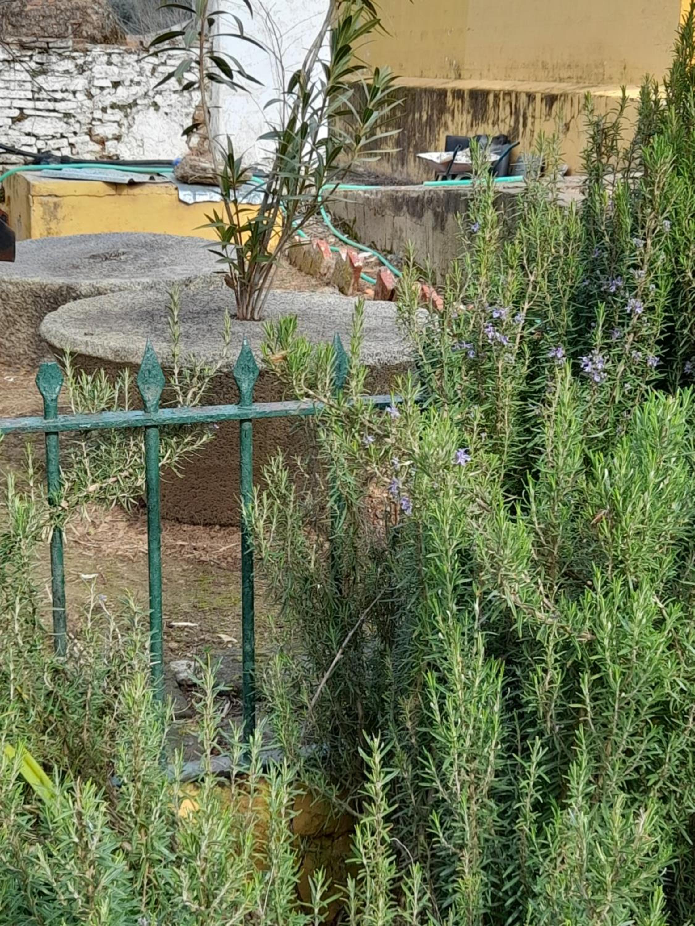 Photo 47