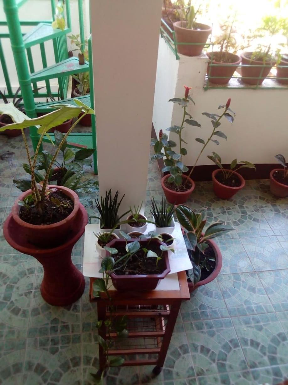 Photo 41