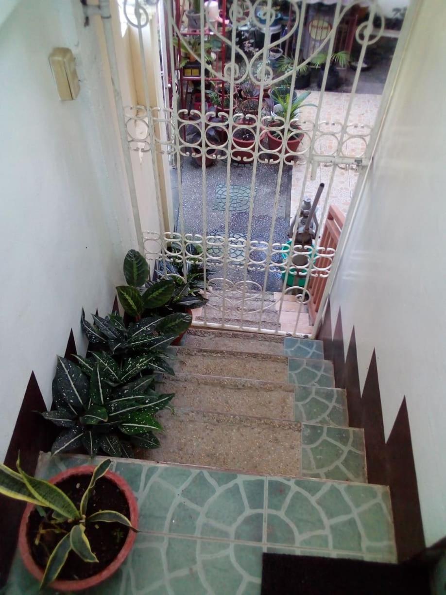 Photo 46