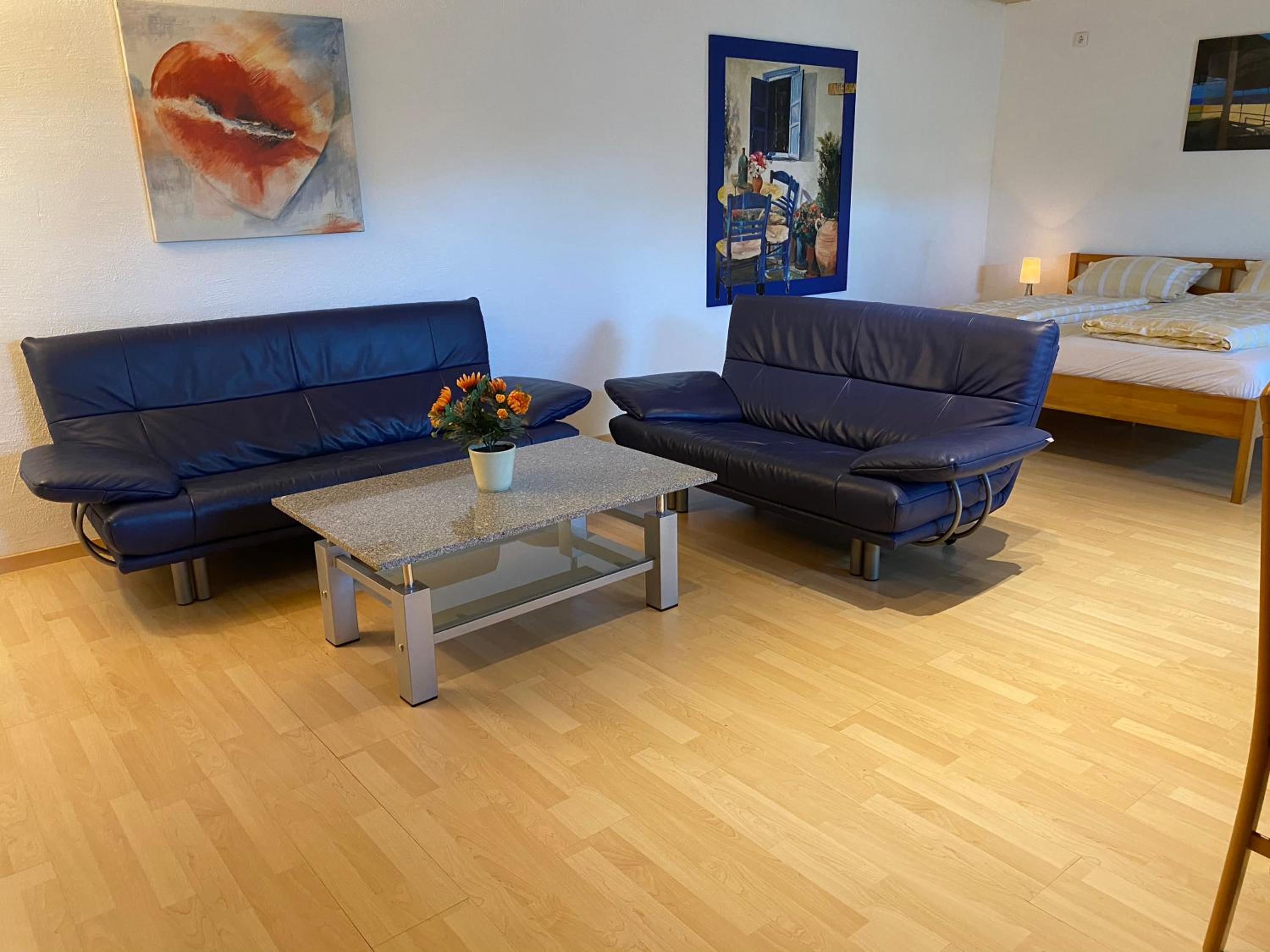 Ferienwohnung Meßmer mit Terrasse view 4