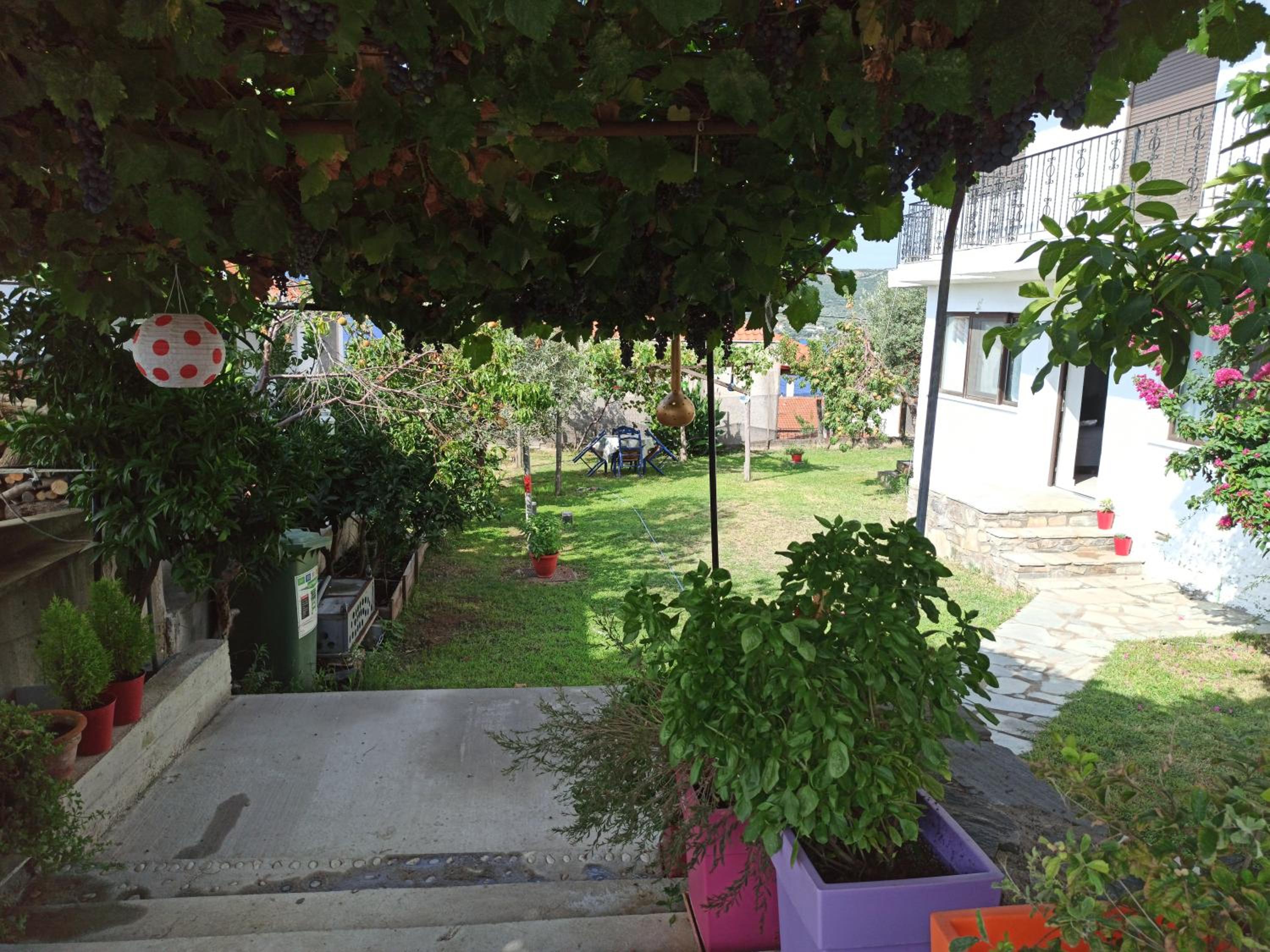 Photo 30