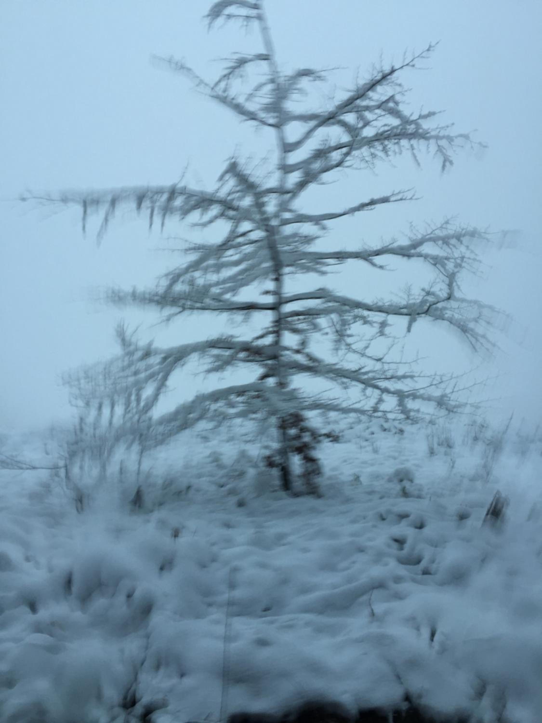 Au Coeur La Roche