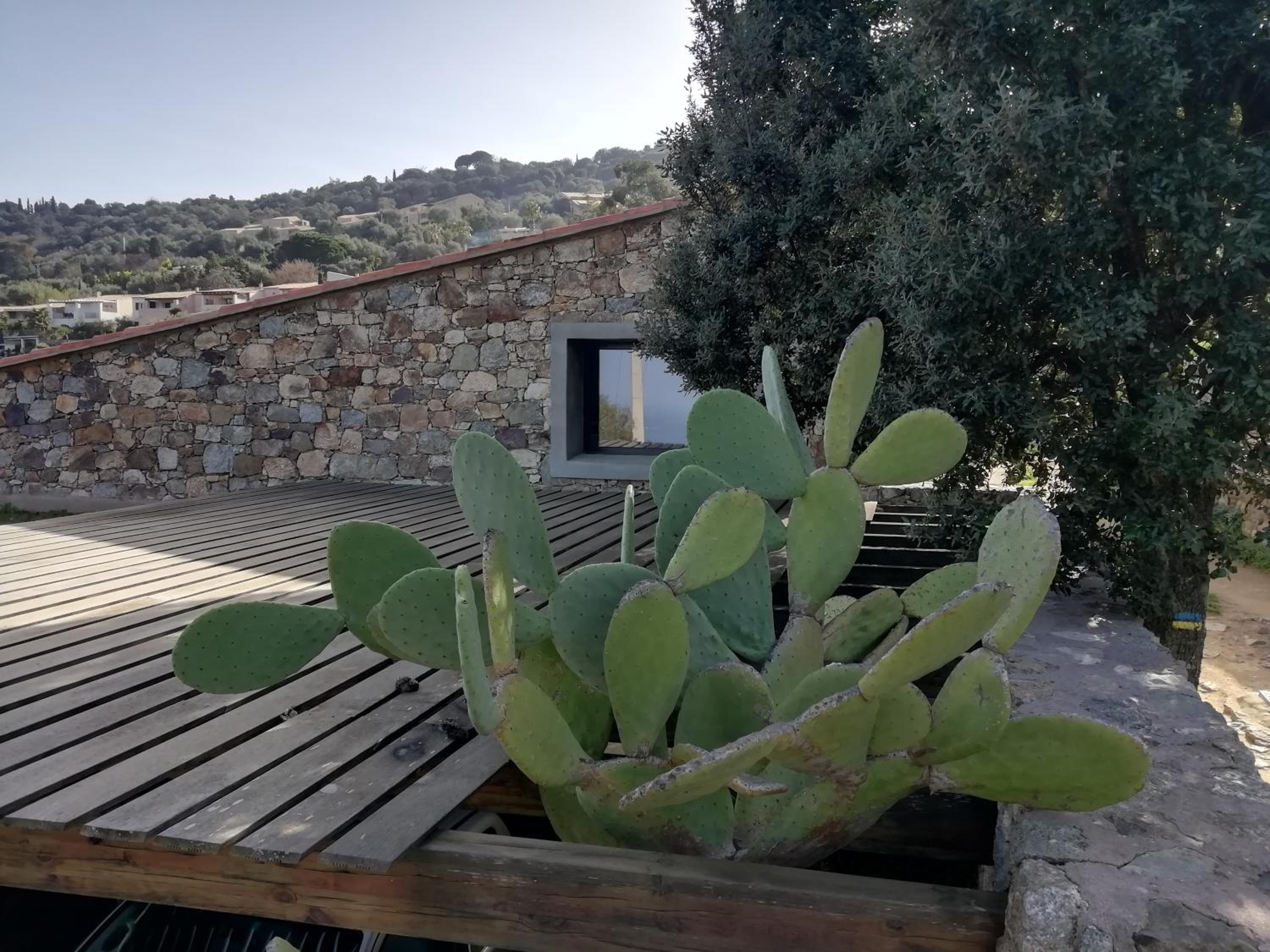 Clos Olivella