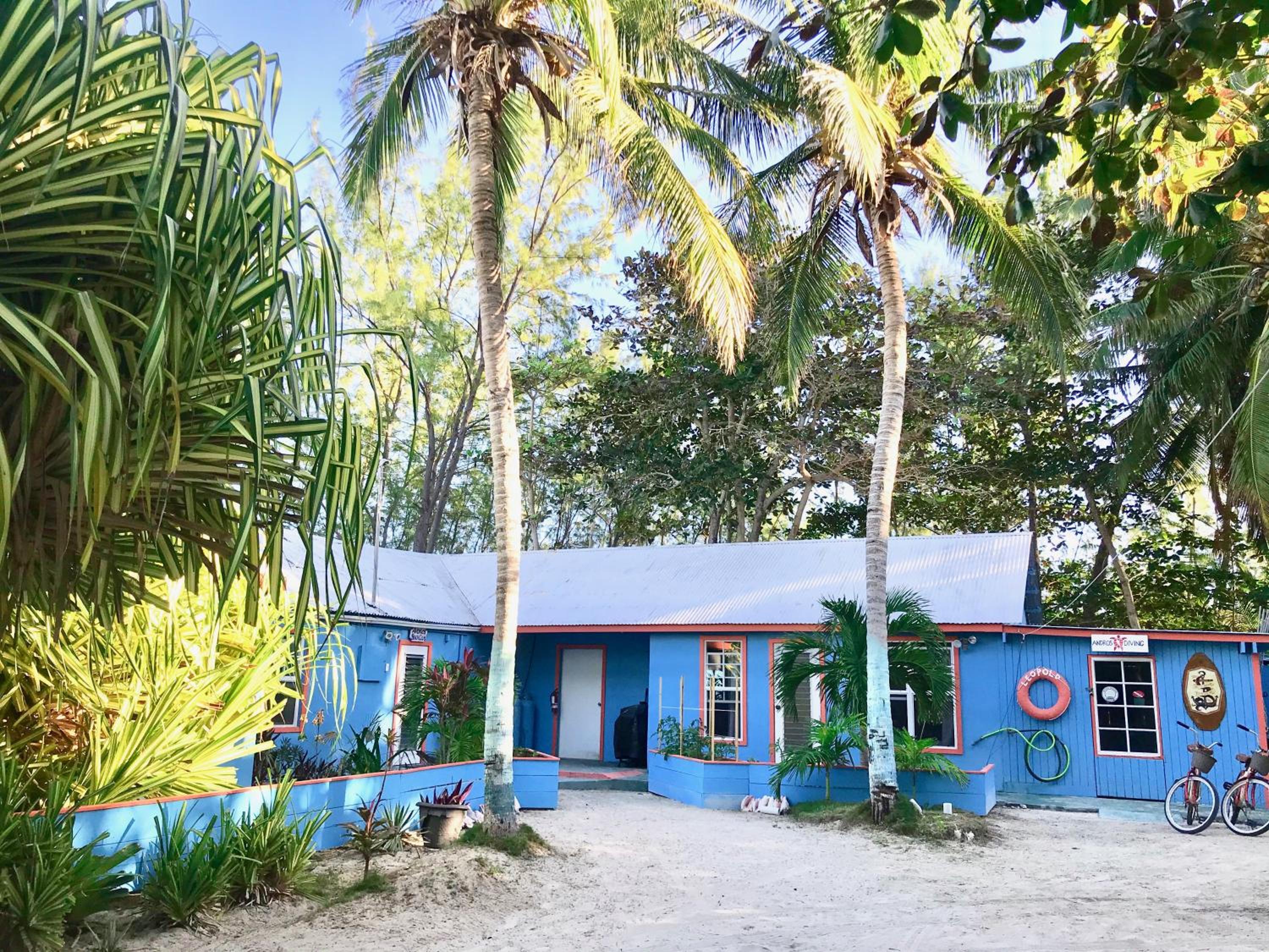 Andros Beach Club
