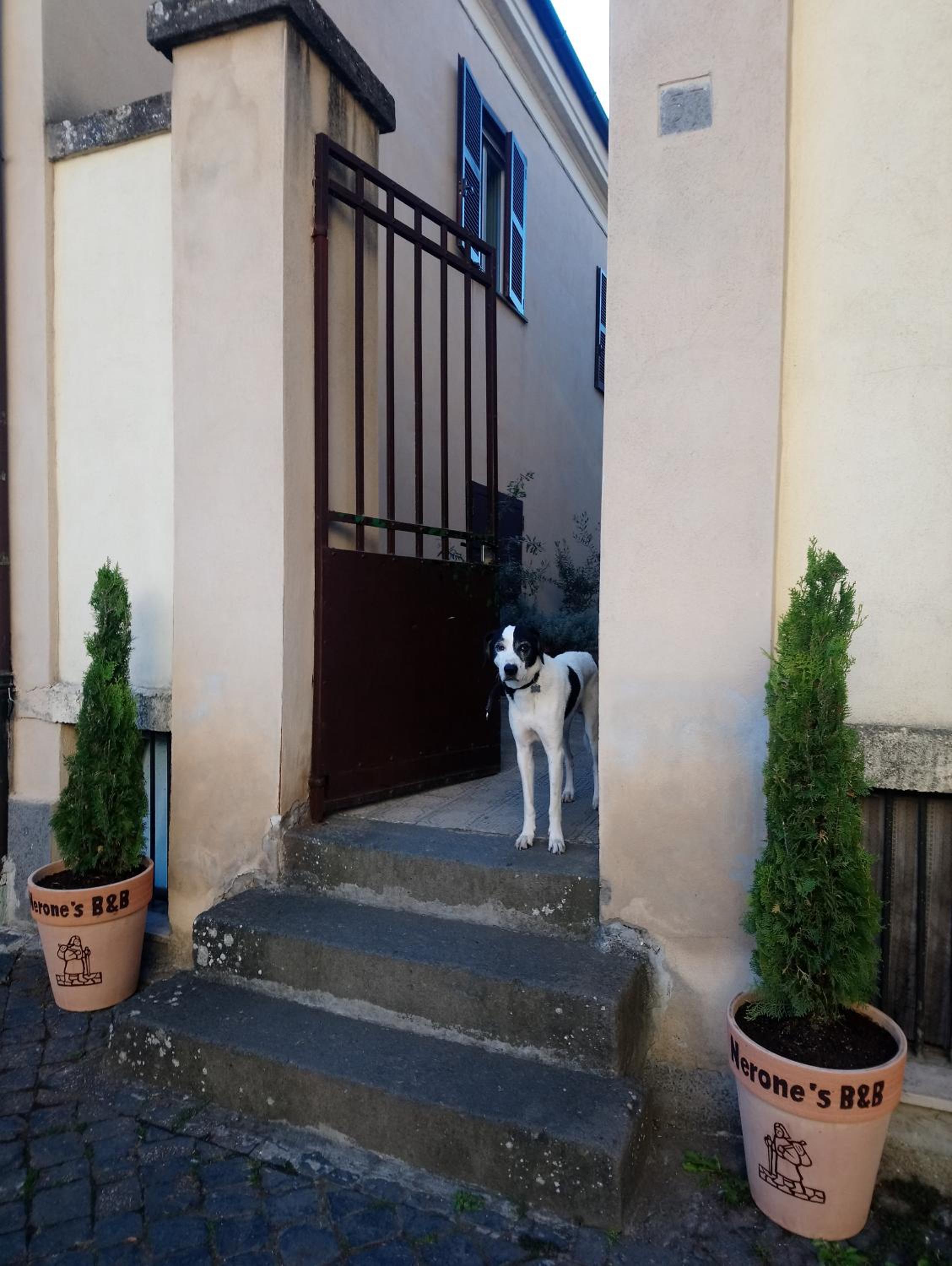 Nerone's - Sutri Bed & Better
