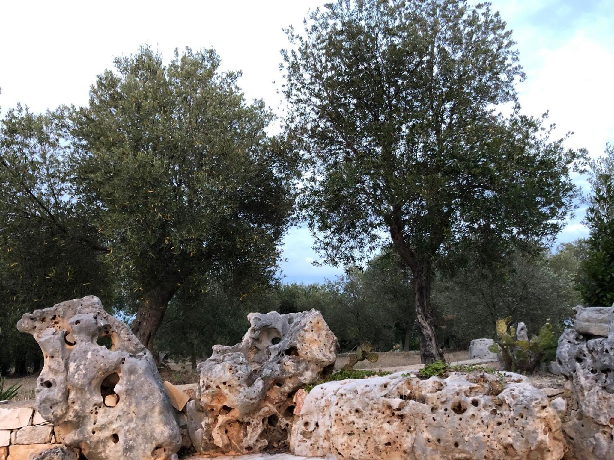 Photo 47