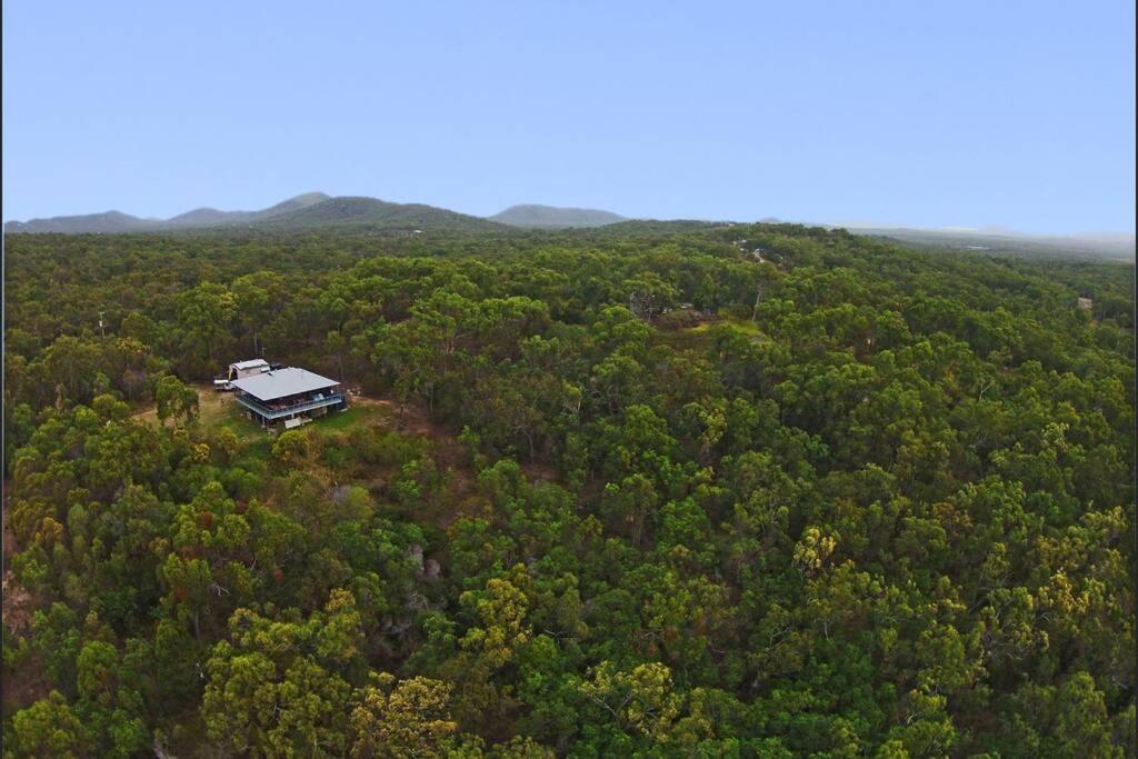 Treetops