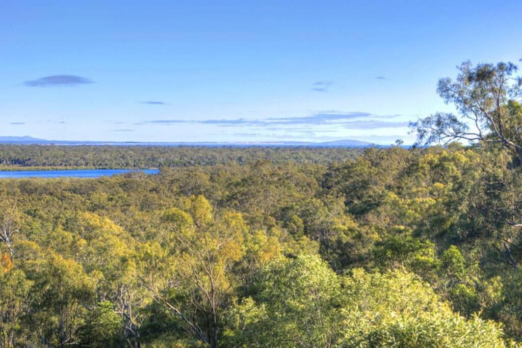 Treetops