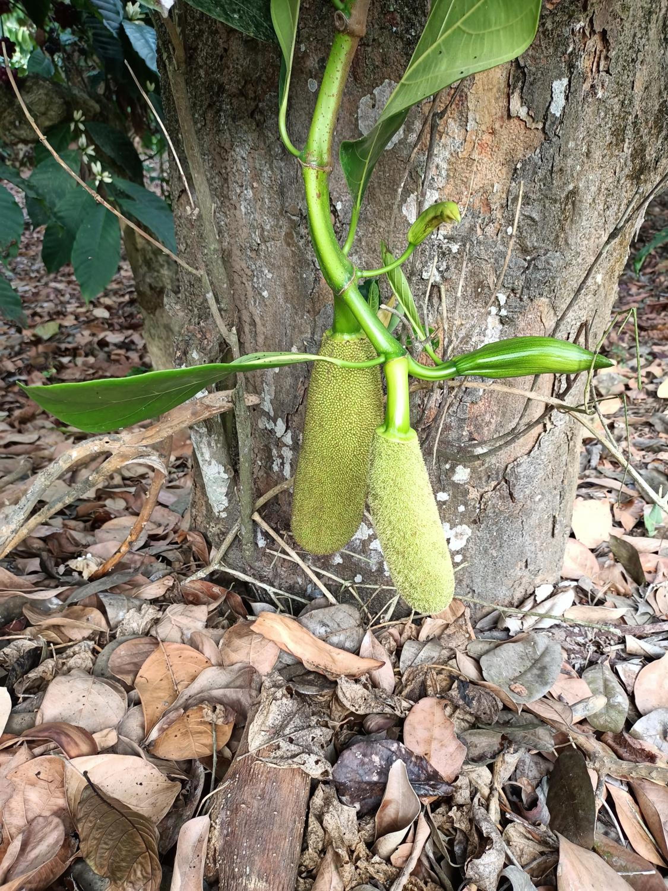 Photo 17