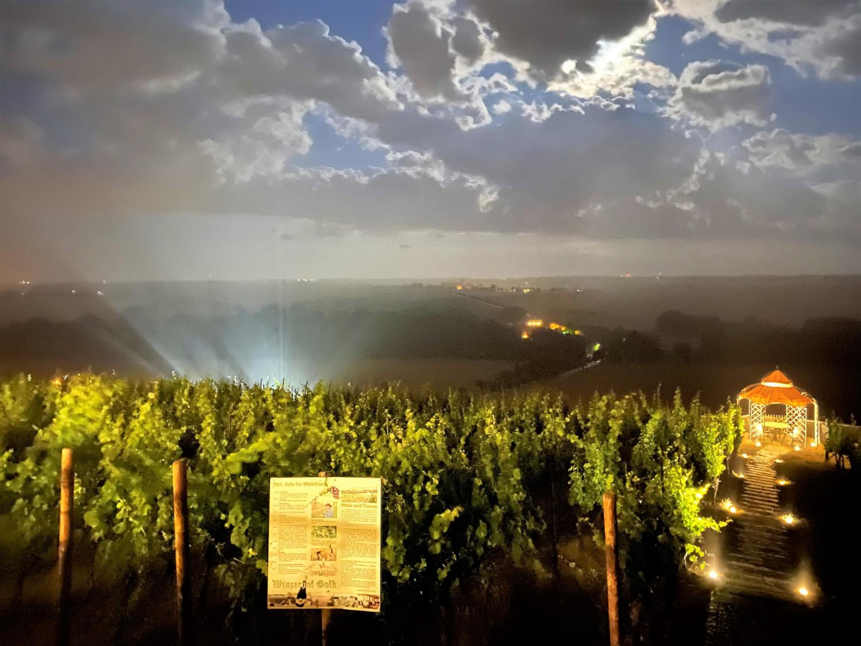 Pension Bella Vista - Winzerhof Golk