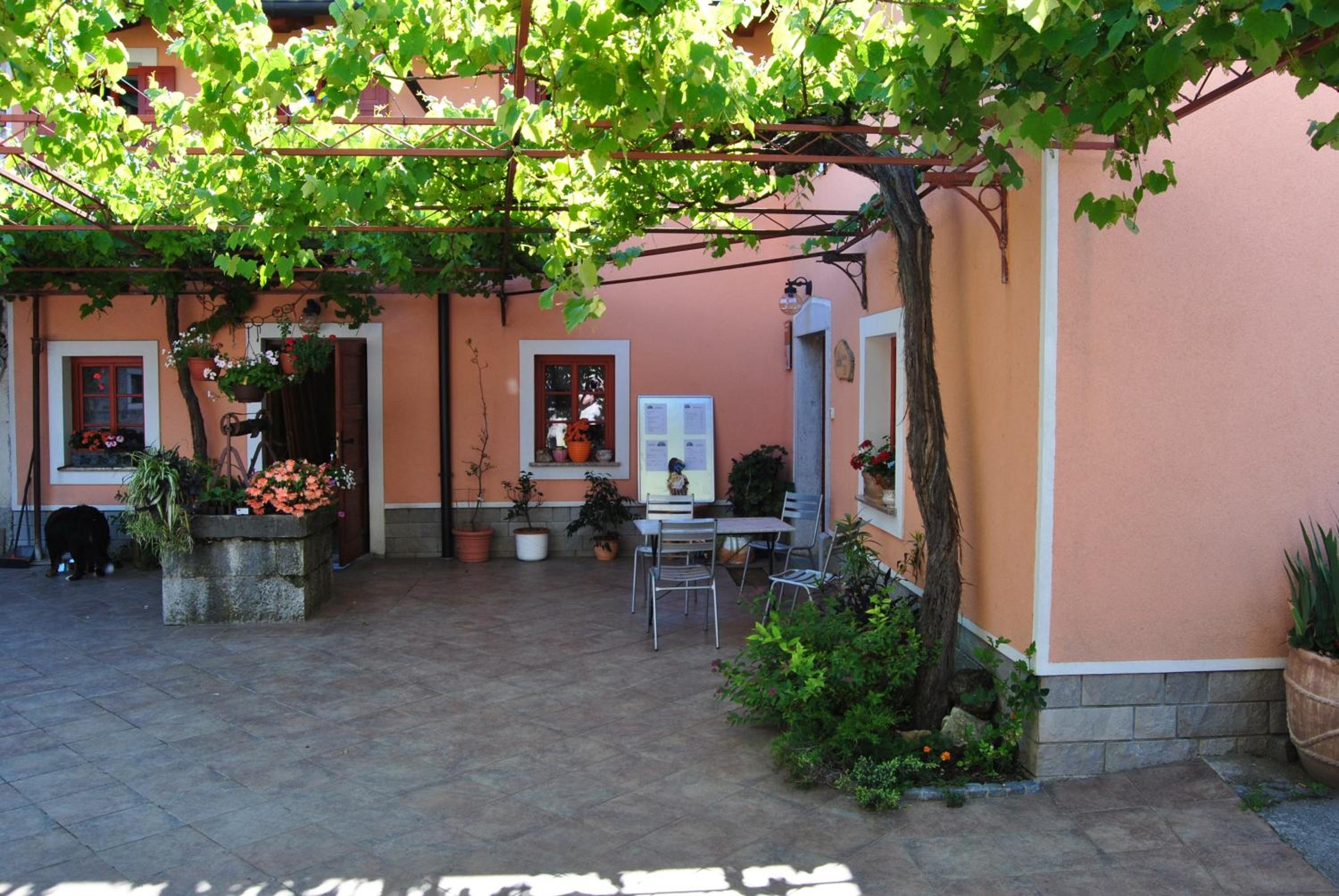 Tourist Farm Dujceva Domacija view 2