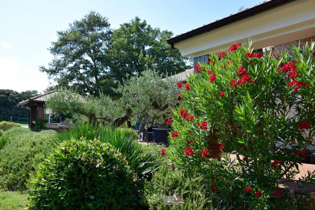 Villa Birds House Rovinj view 2