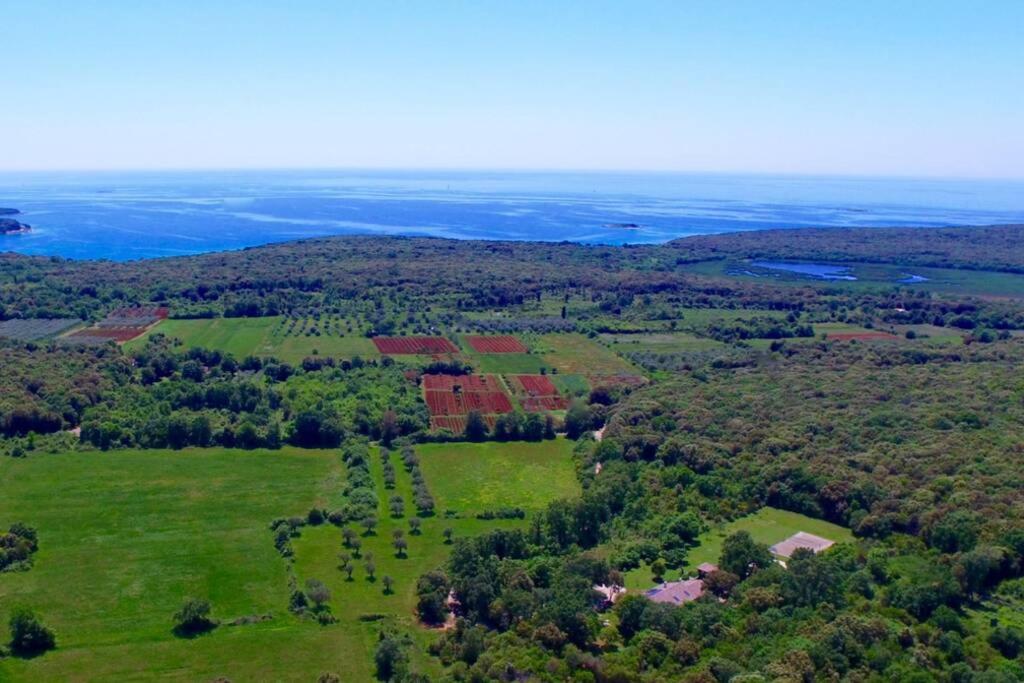 Villa Birds House Rovinj view 3